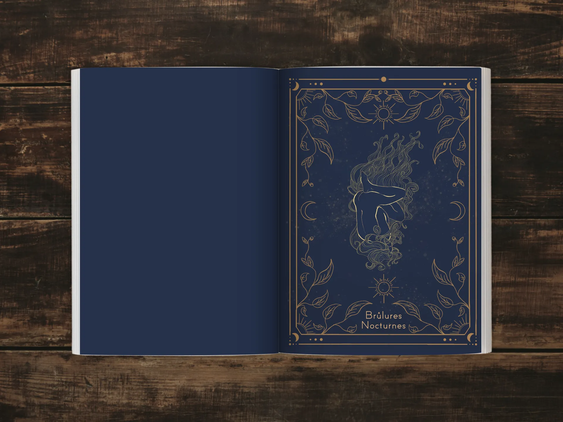Cover of the book