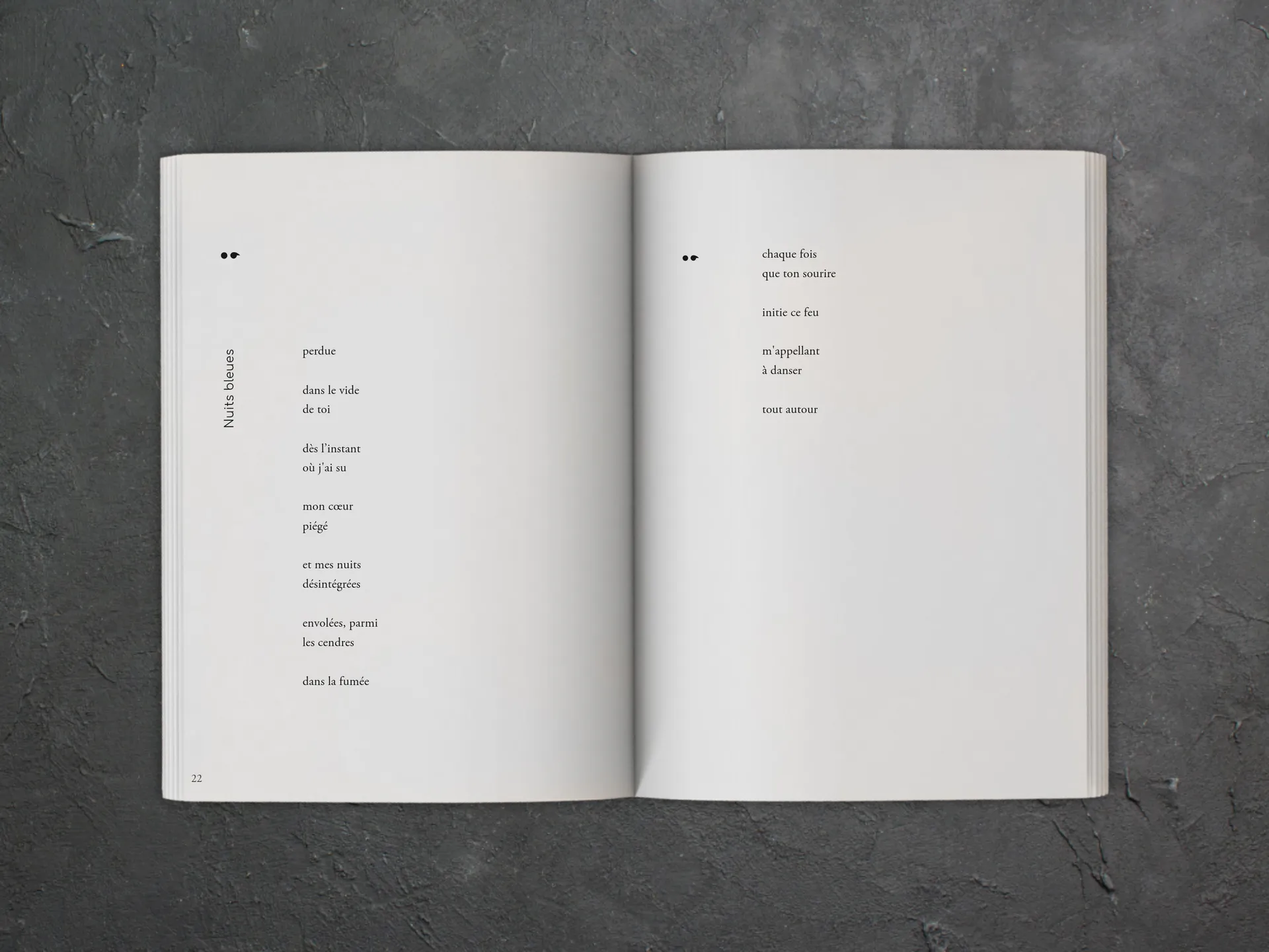 Cover of the book