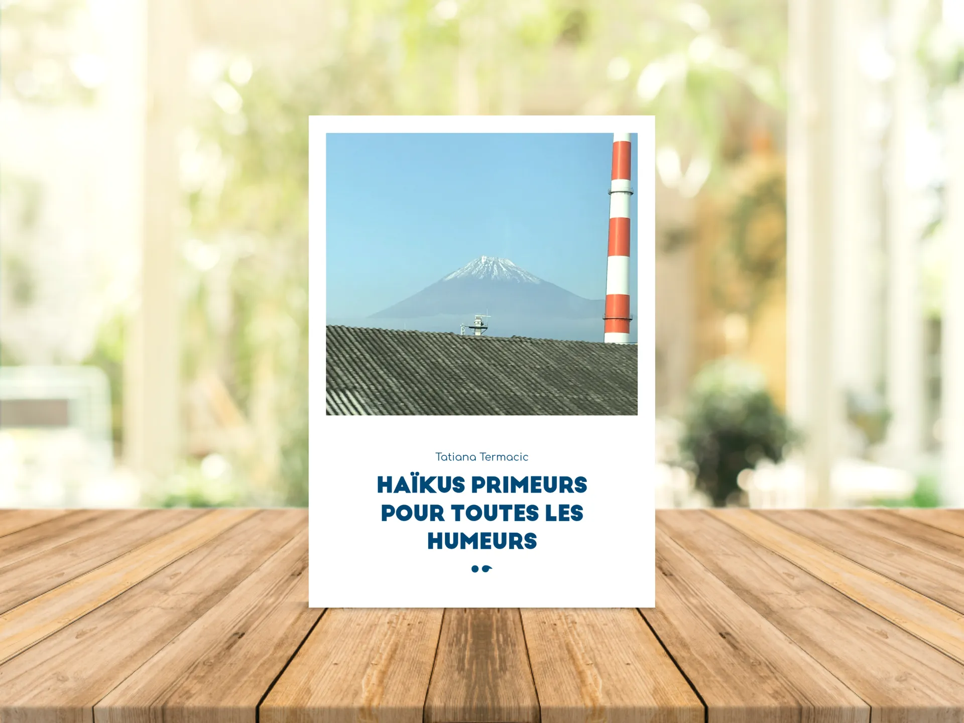 Cover of the book