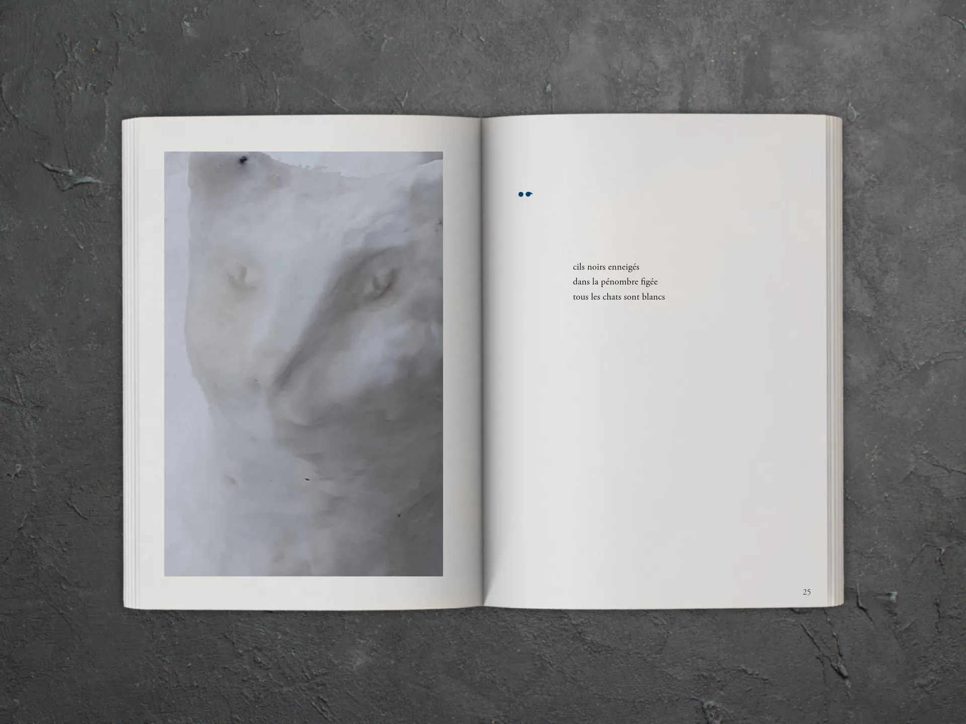 Cover of the book