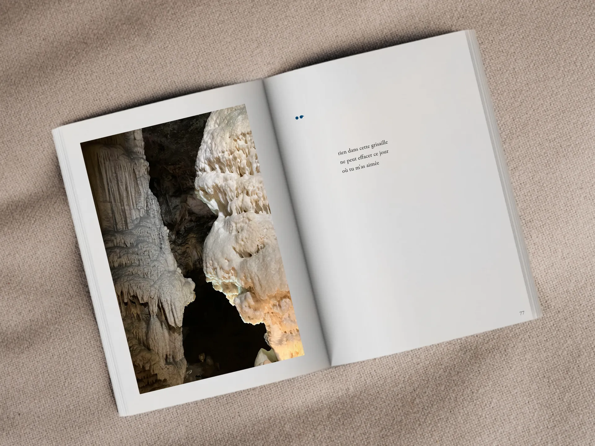 Cover of the book
