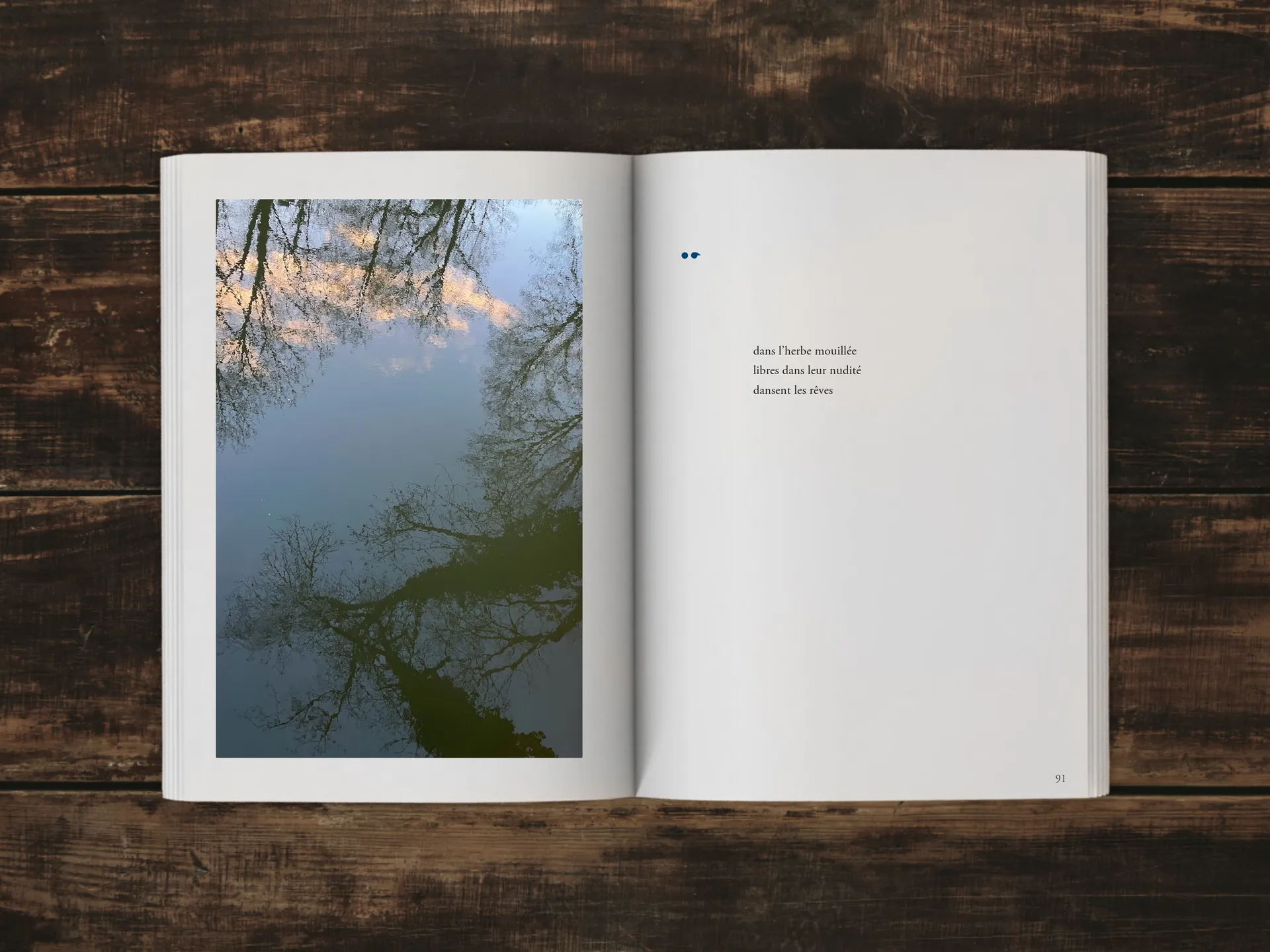 Cover of the book