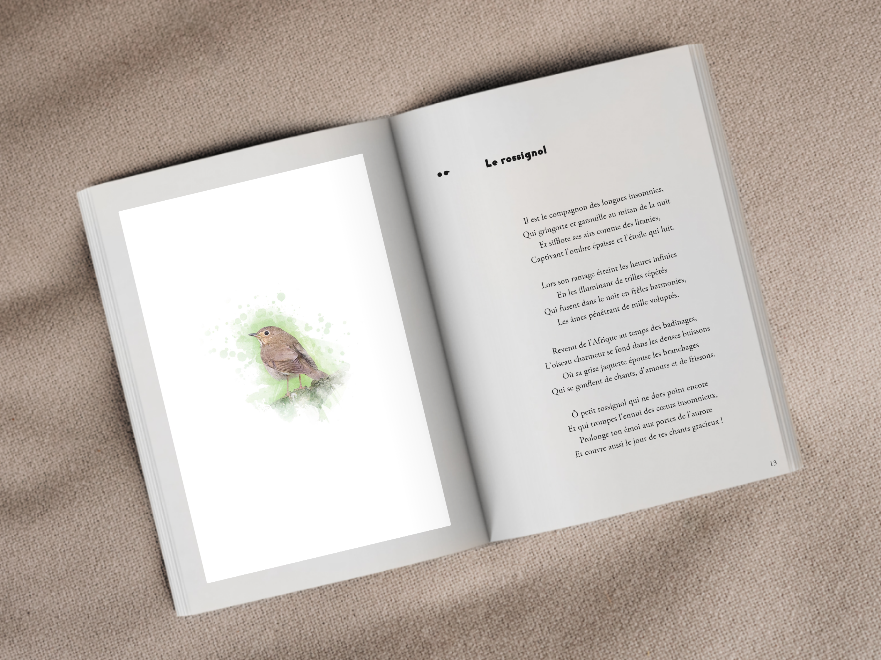 Cover of the book