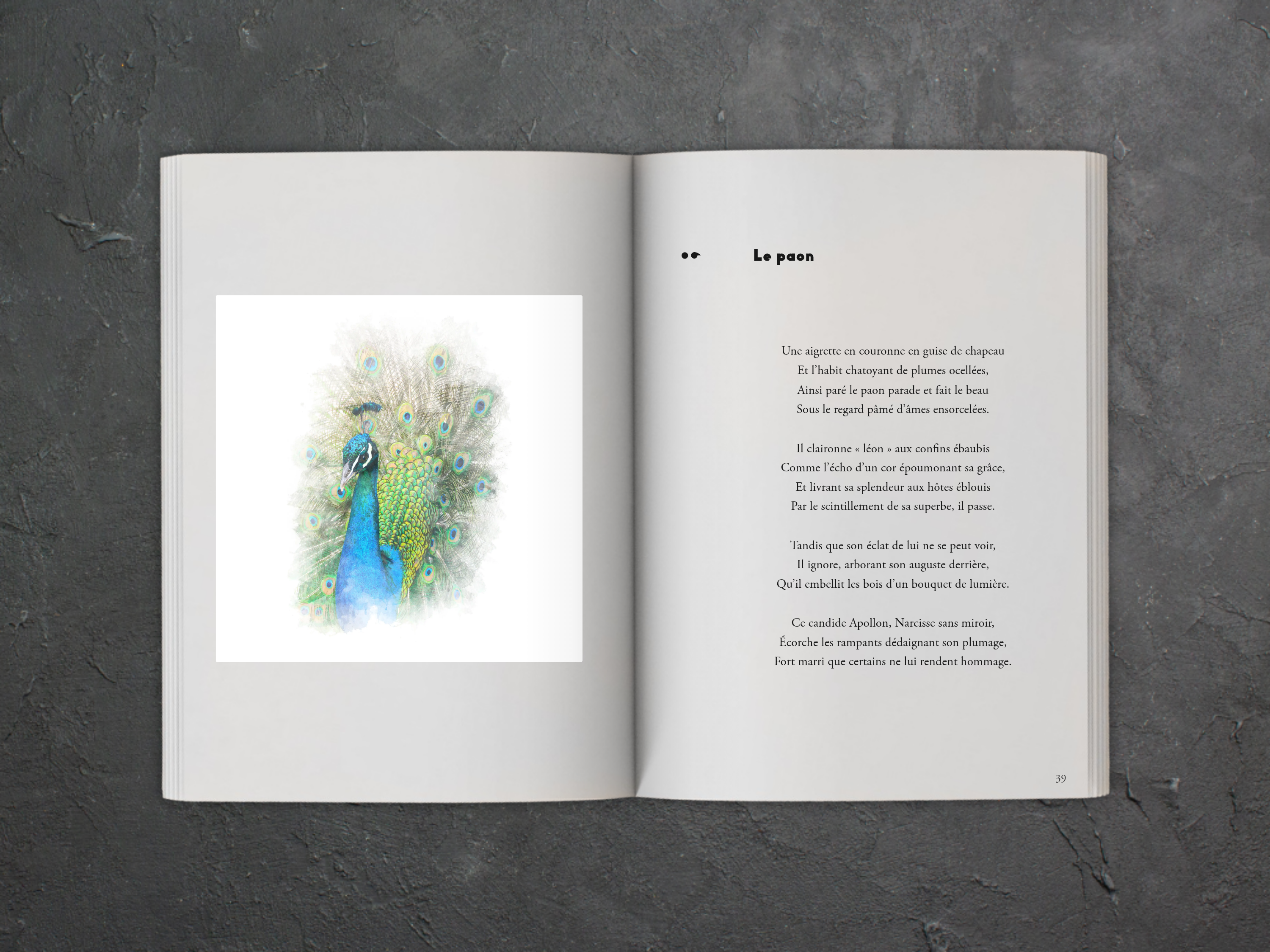 Cover of the book