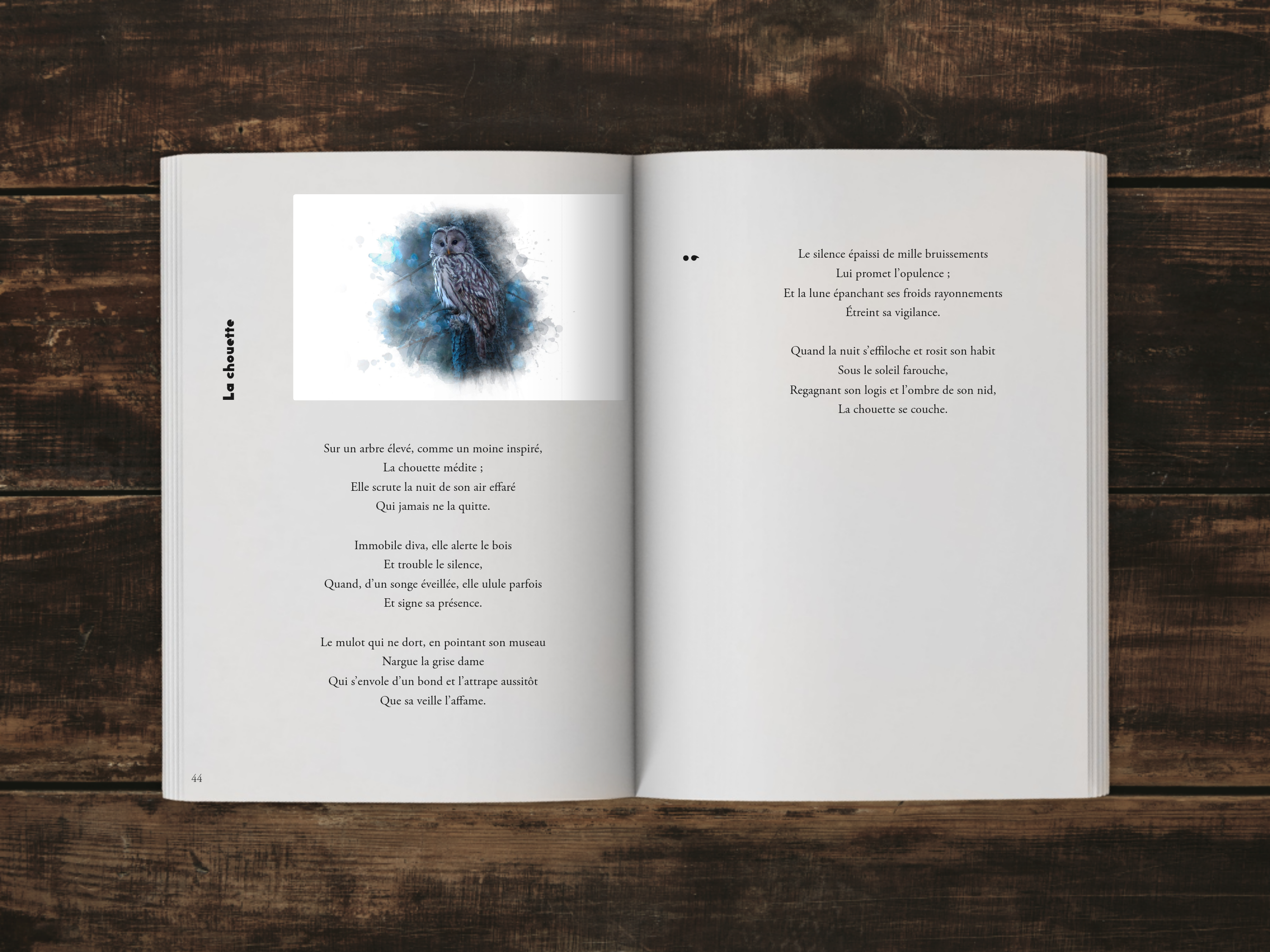 Cover of the book