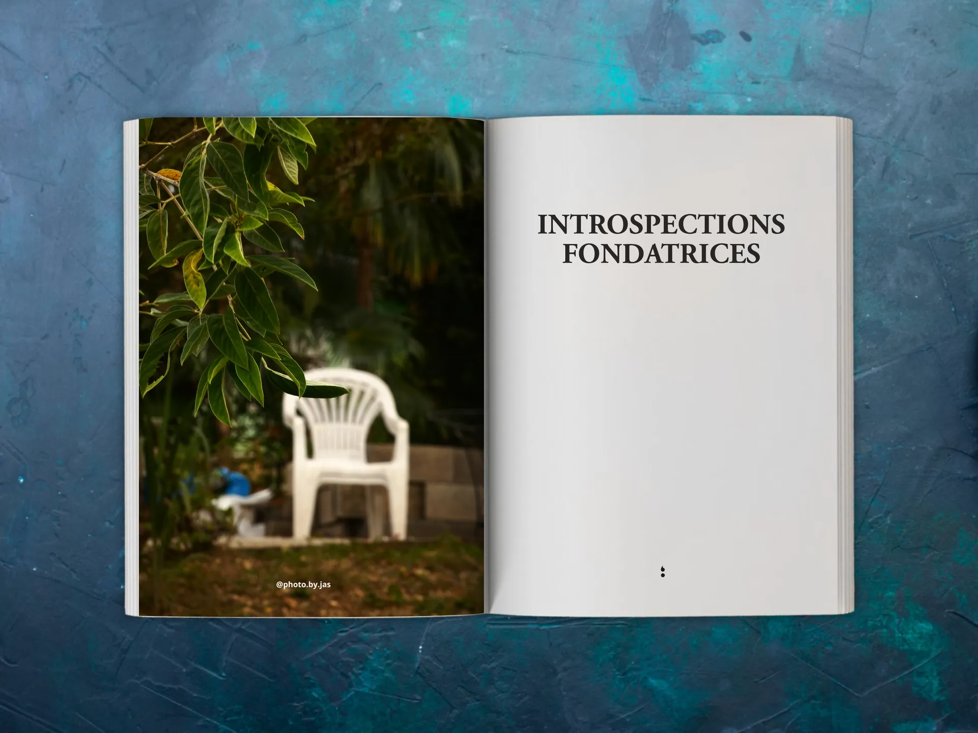 Cover of the book