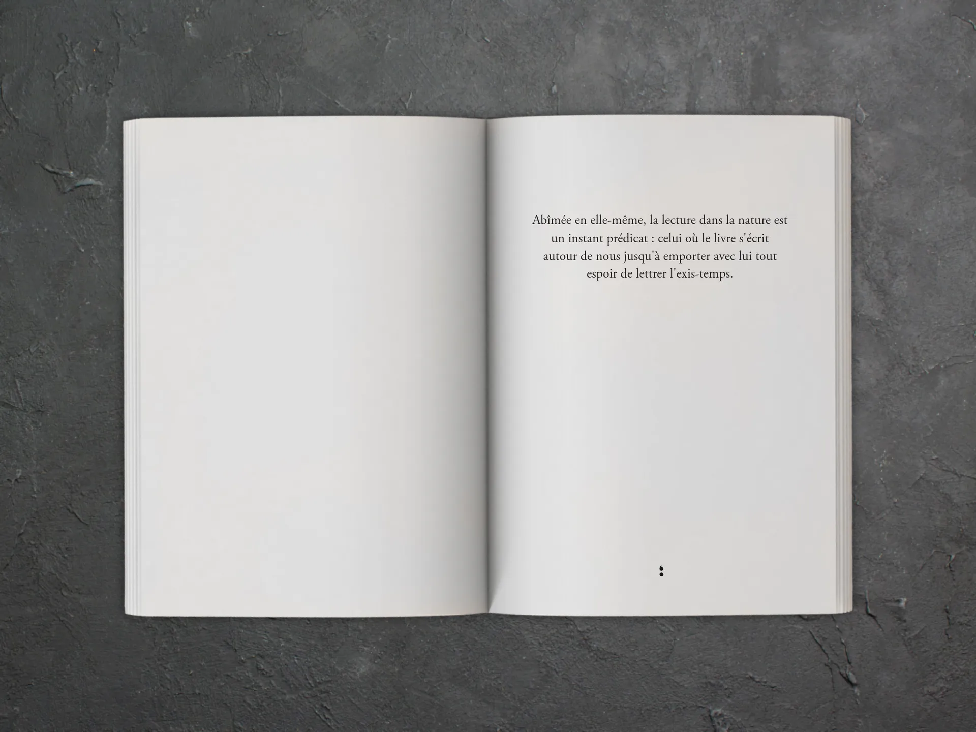 Cover of the book