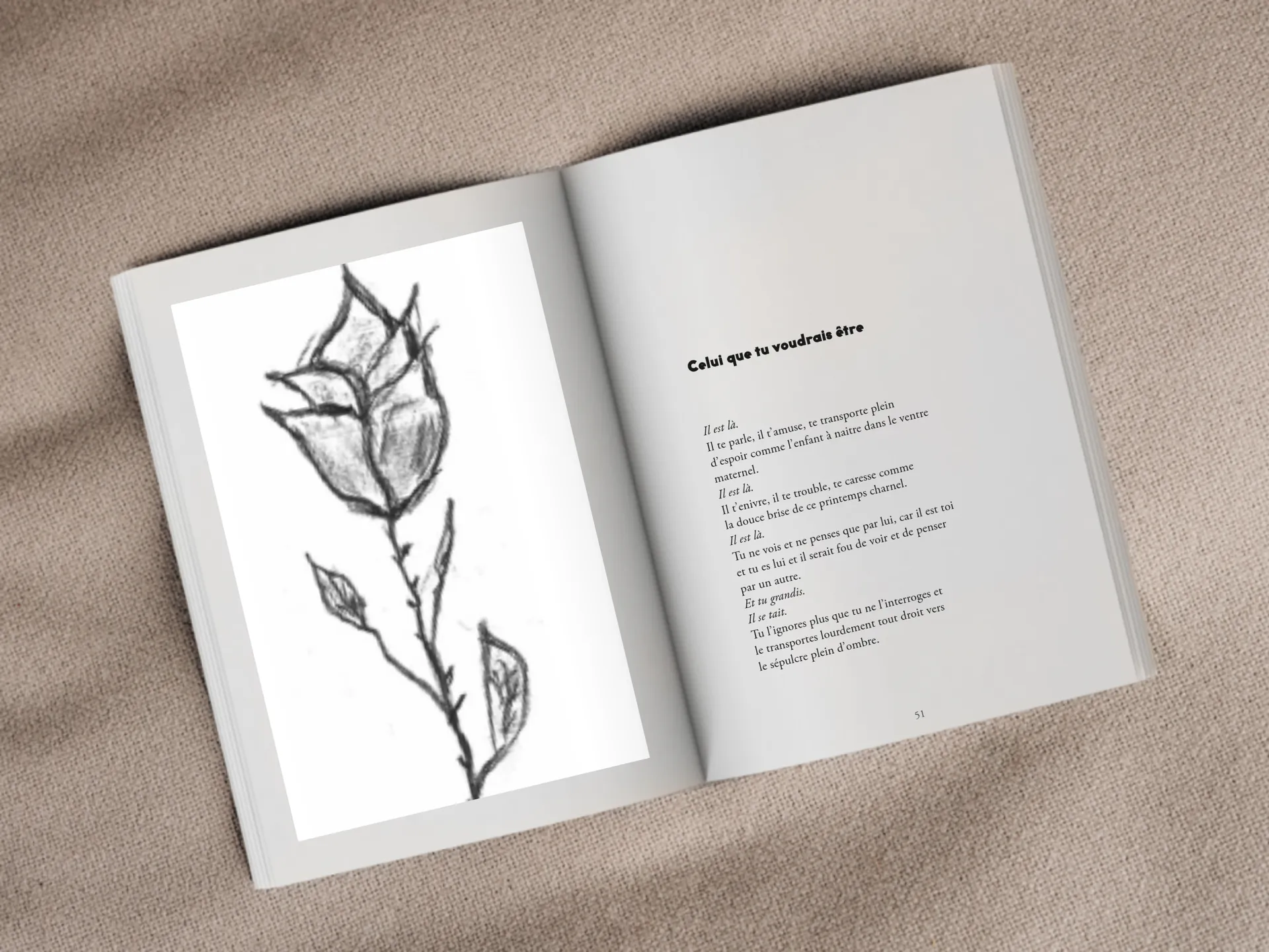 Cover of the book