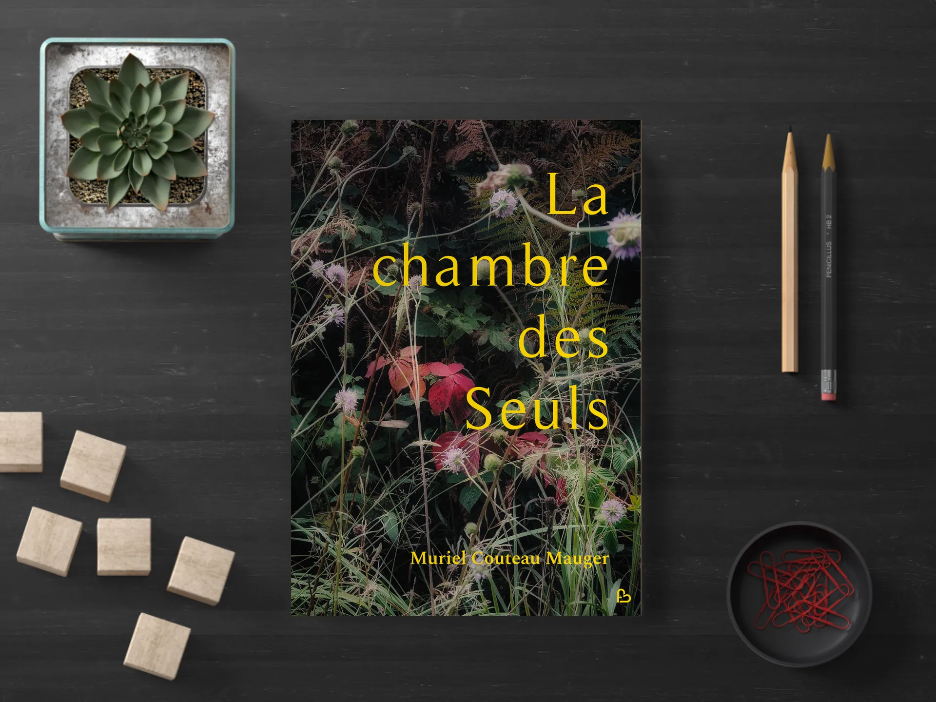 Cover of the book