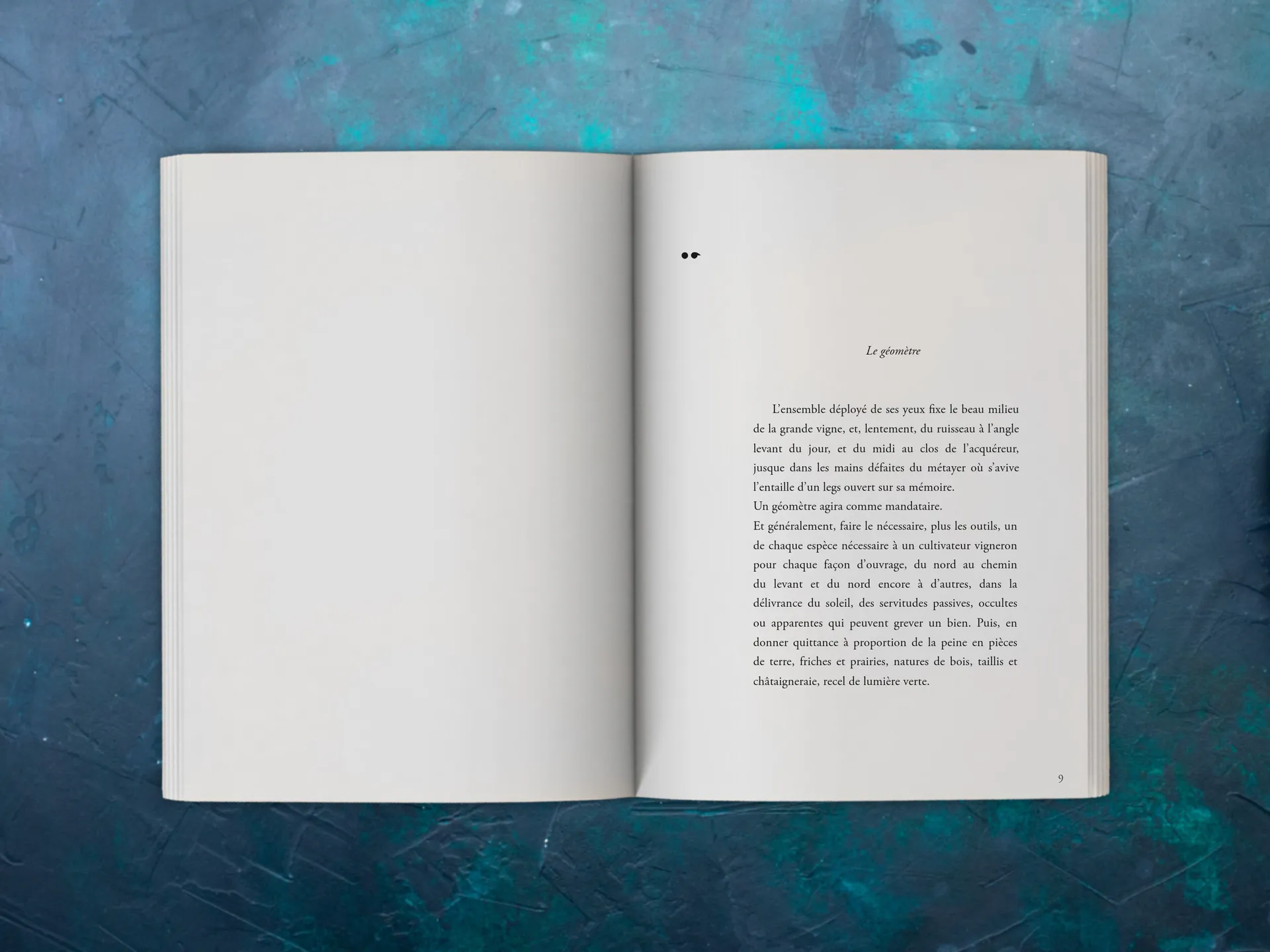 Cover of the book
