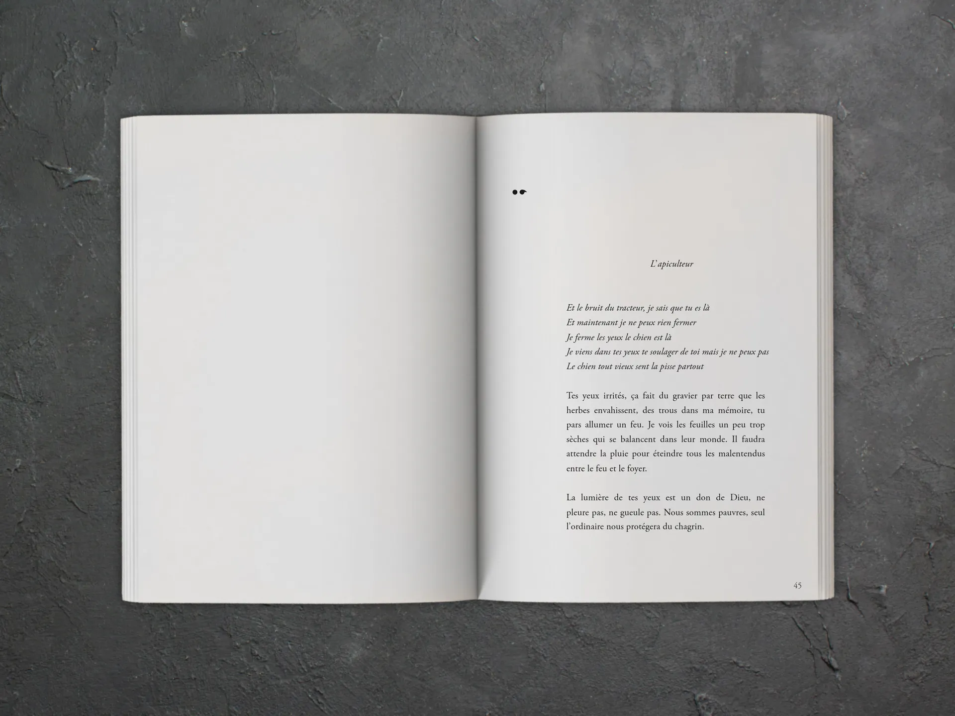 Cover of the book