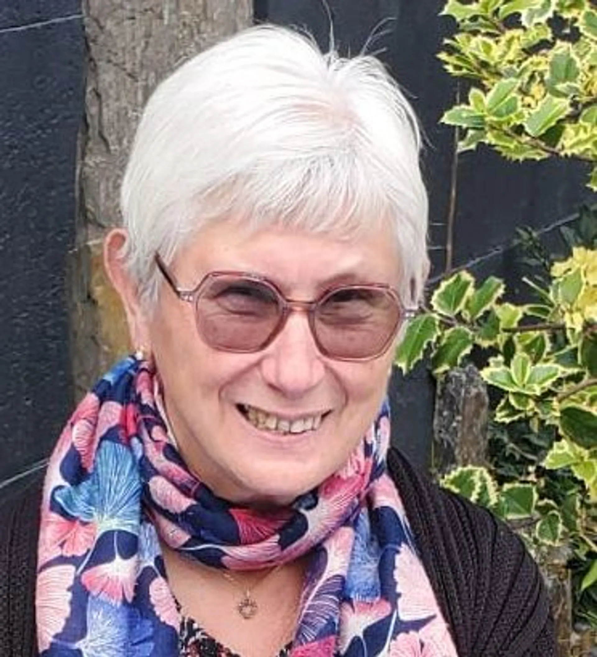 Portrait of the author