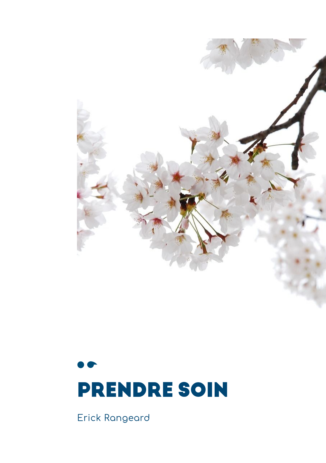 Cover of Prendre soin