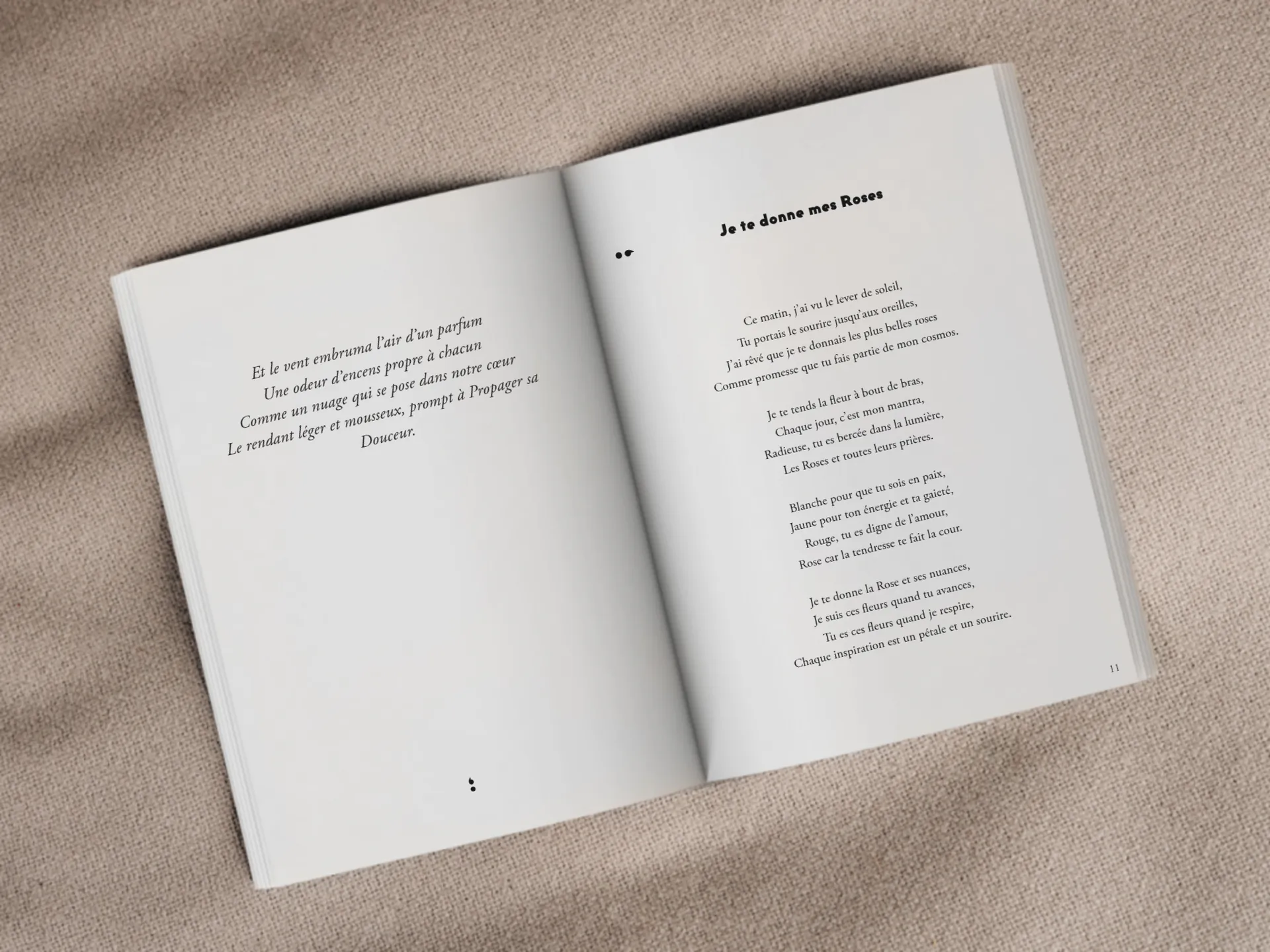 Cover of the book