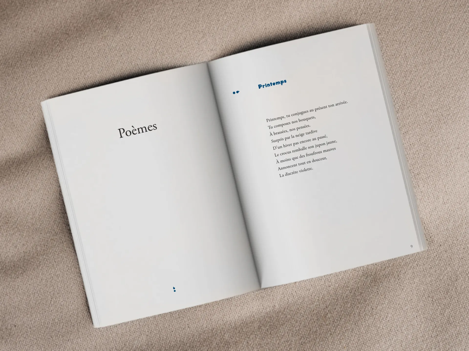 Cover of the book