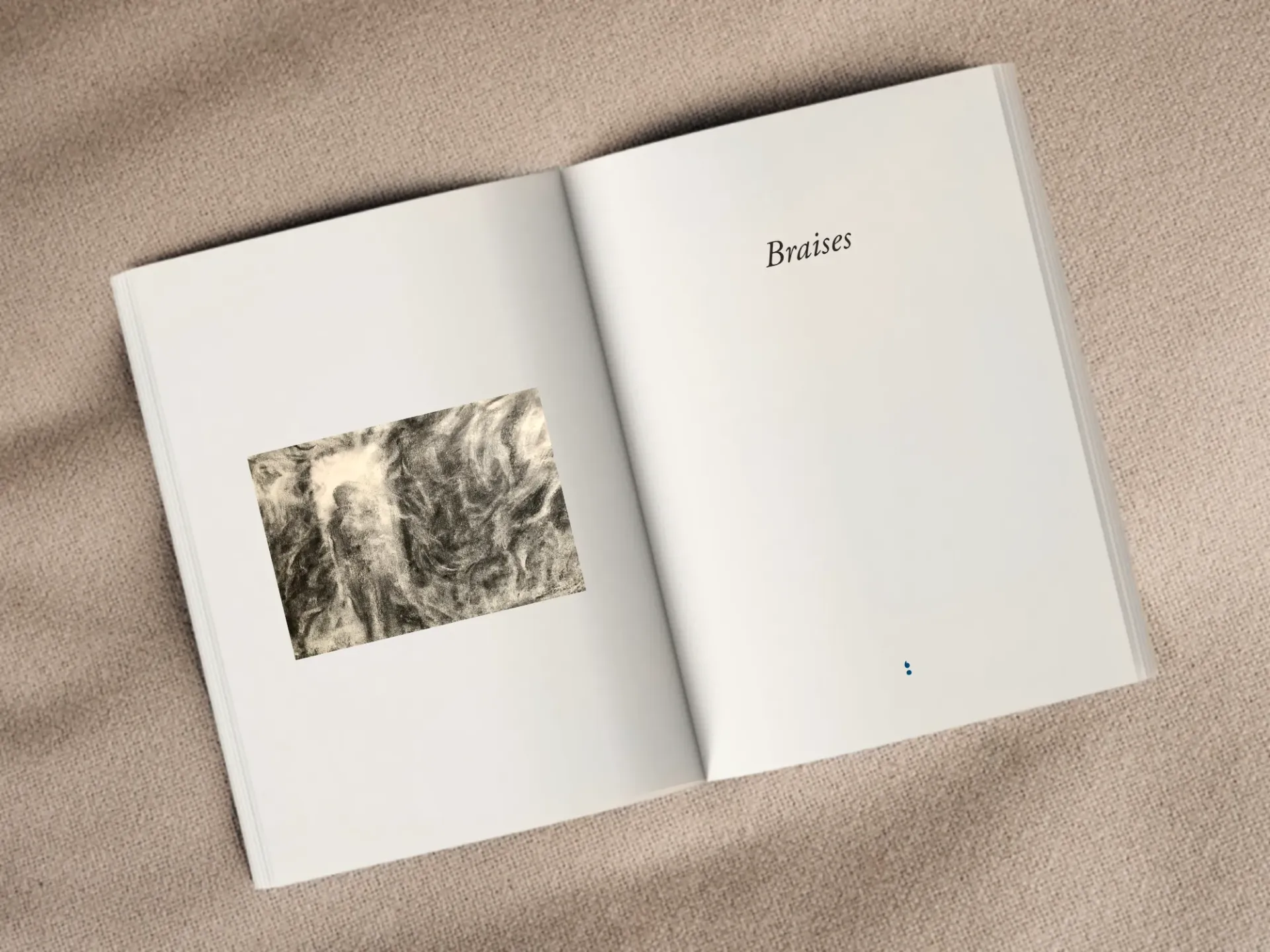 Cover of the book