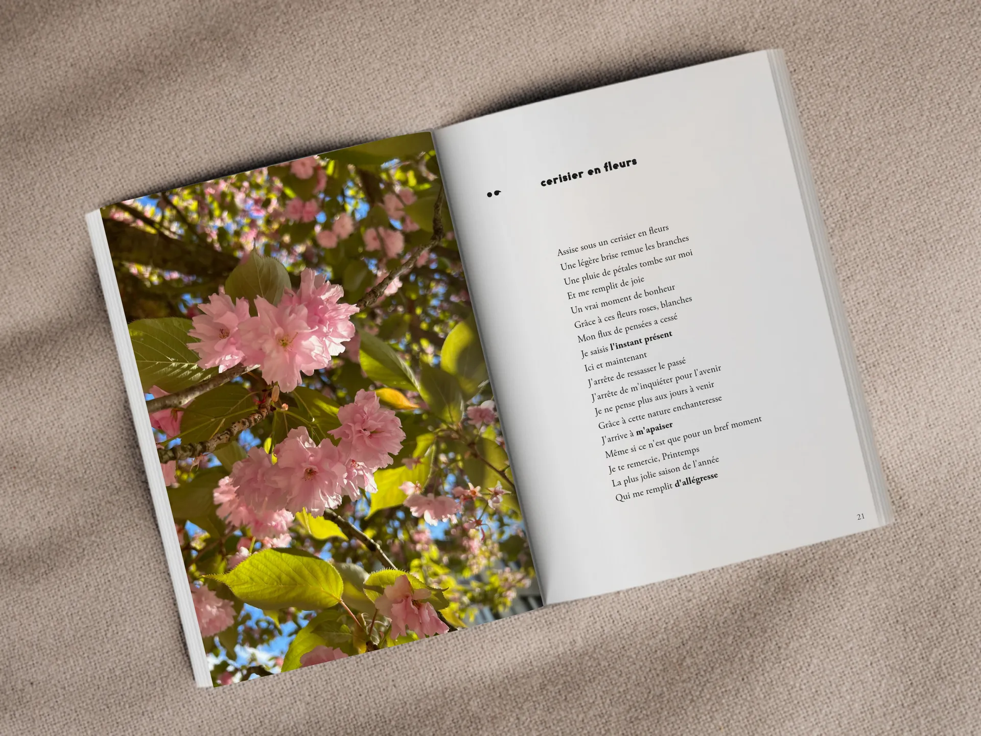 Cover of the book