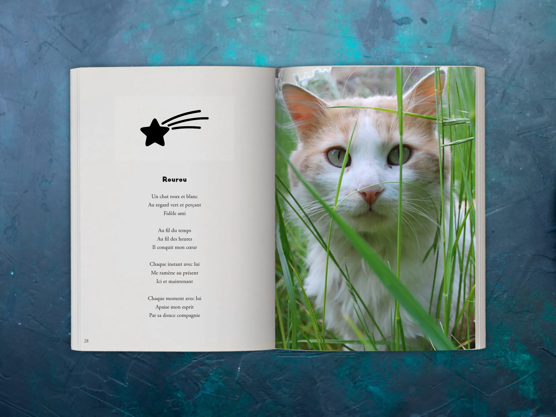Cover of the book