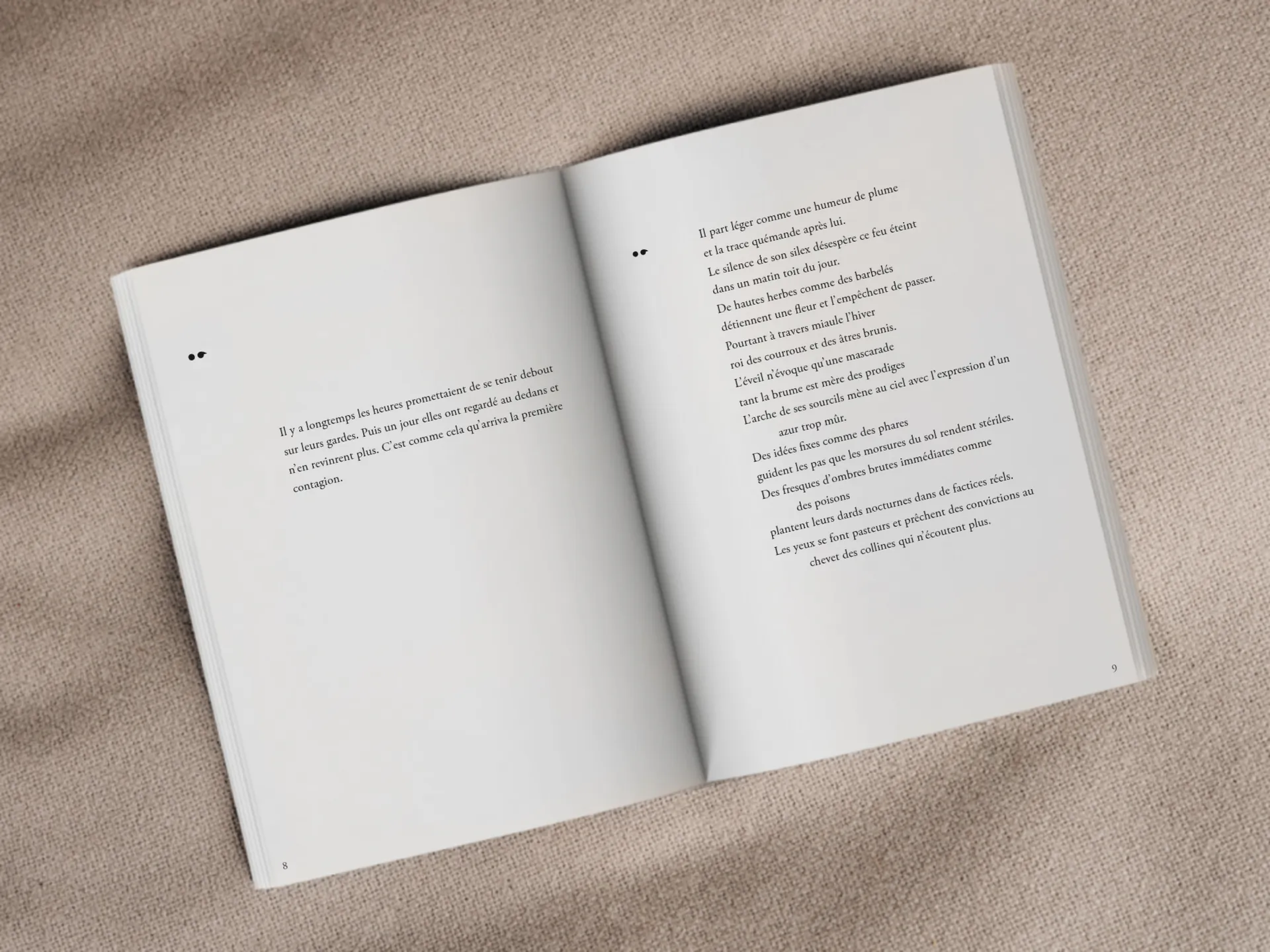 Cover of the book