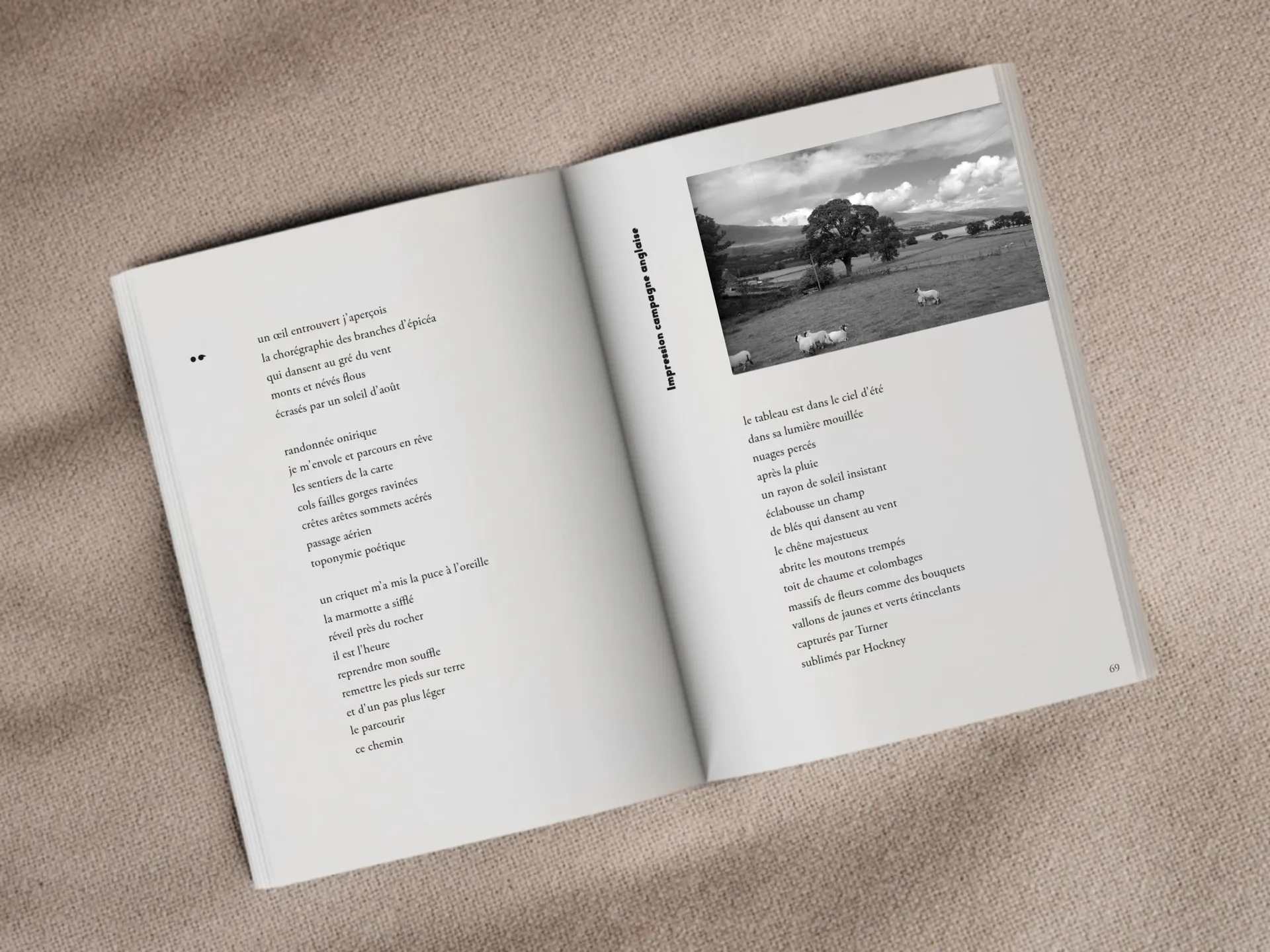Cover of the book