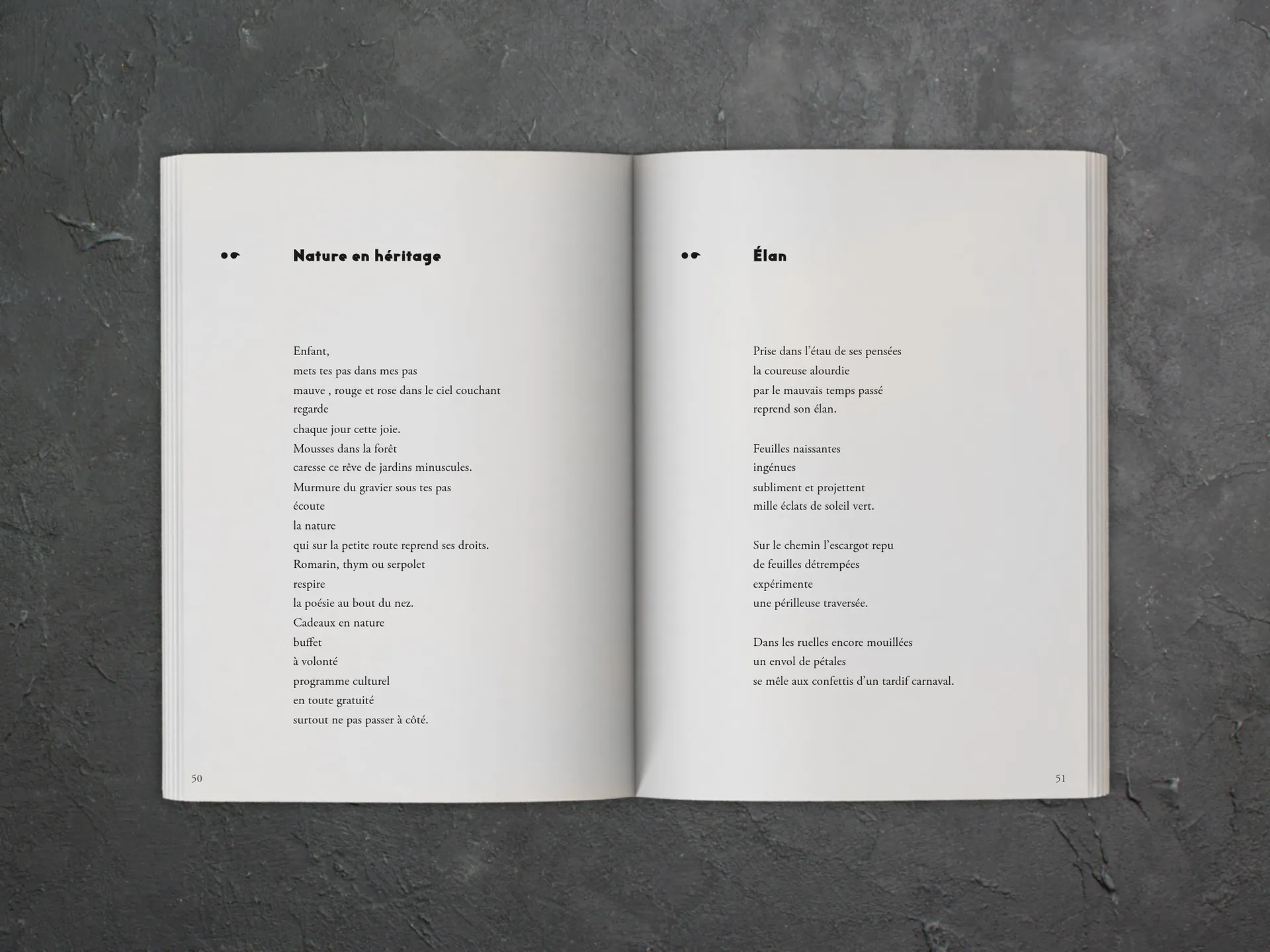 Cover of the book