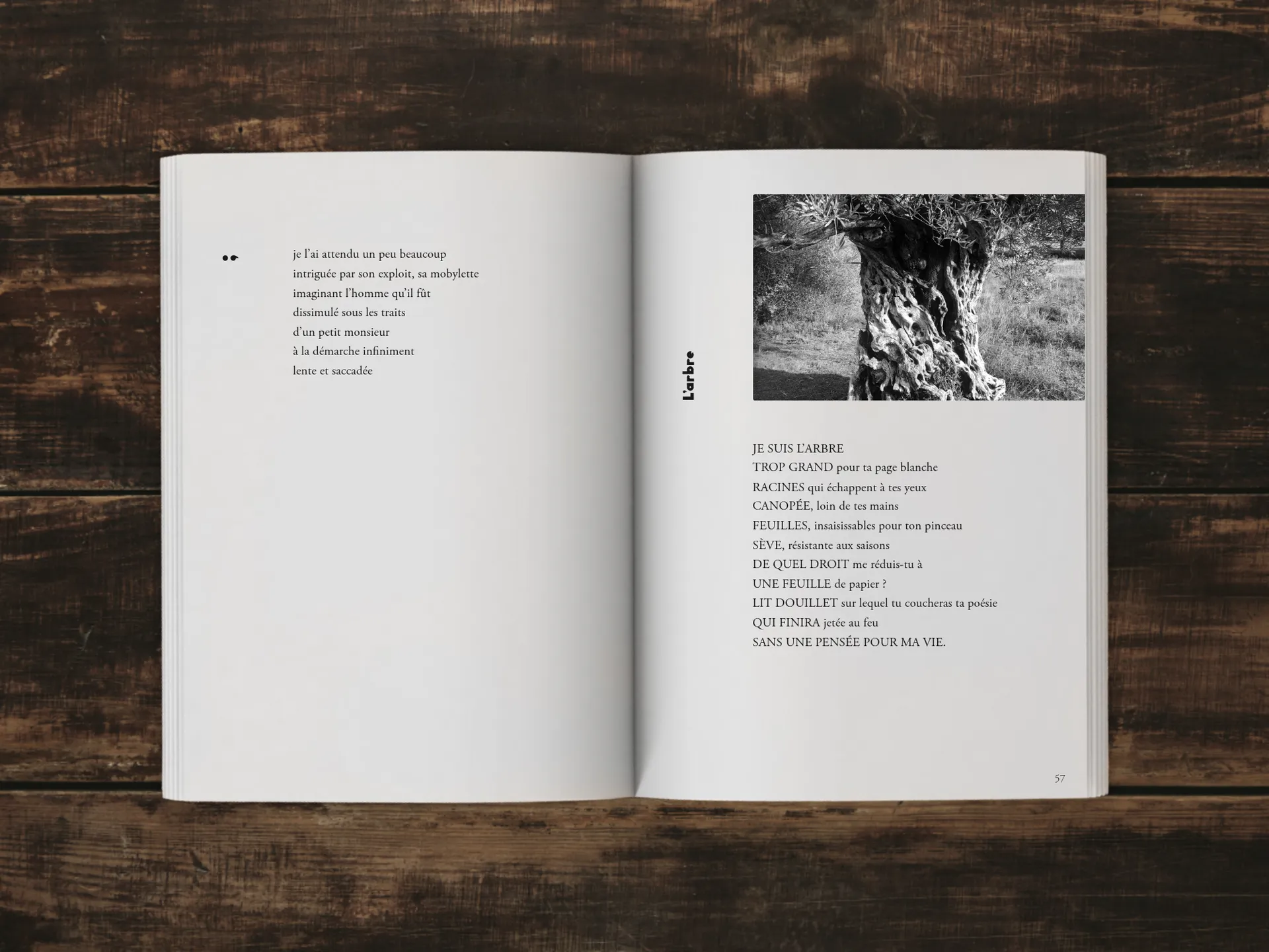 Cover of the book
