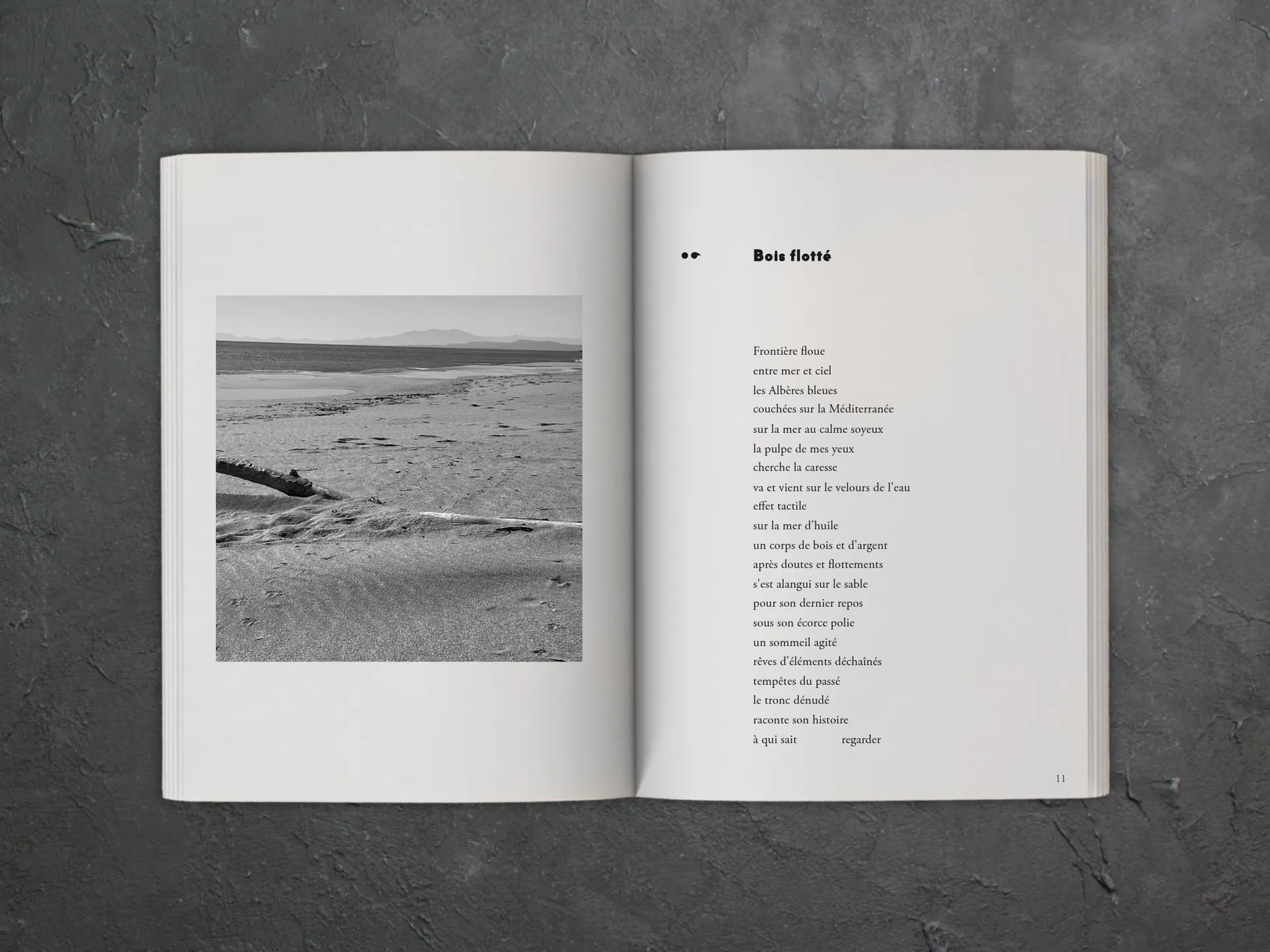 Cover of the book