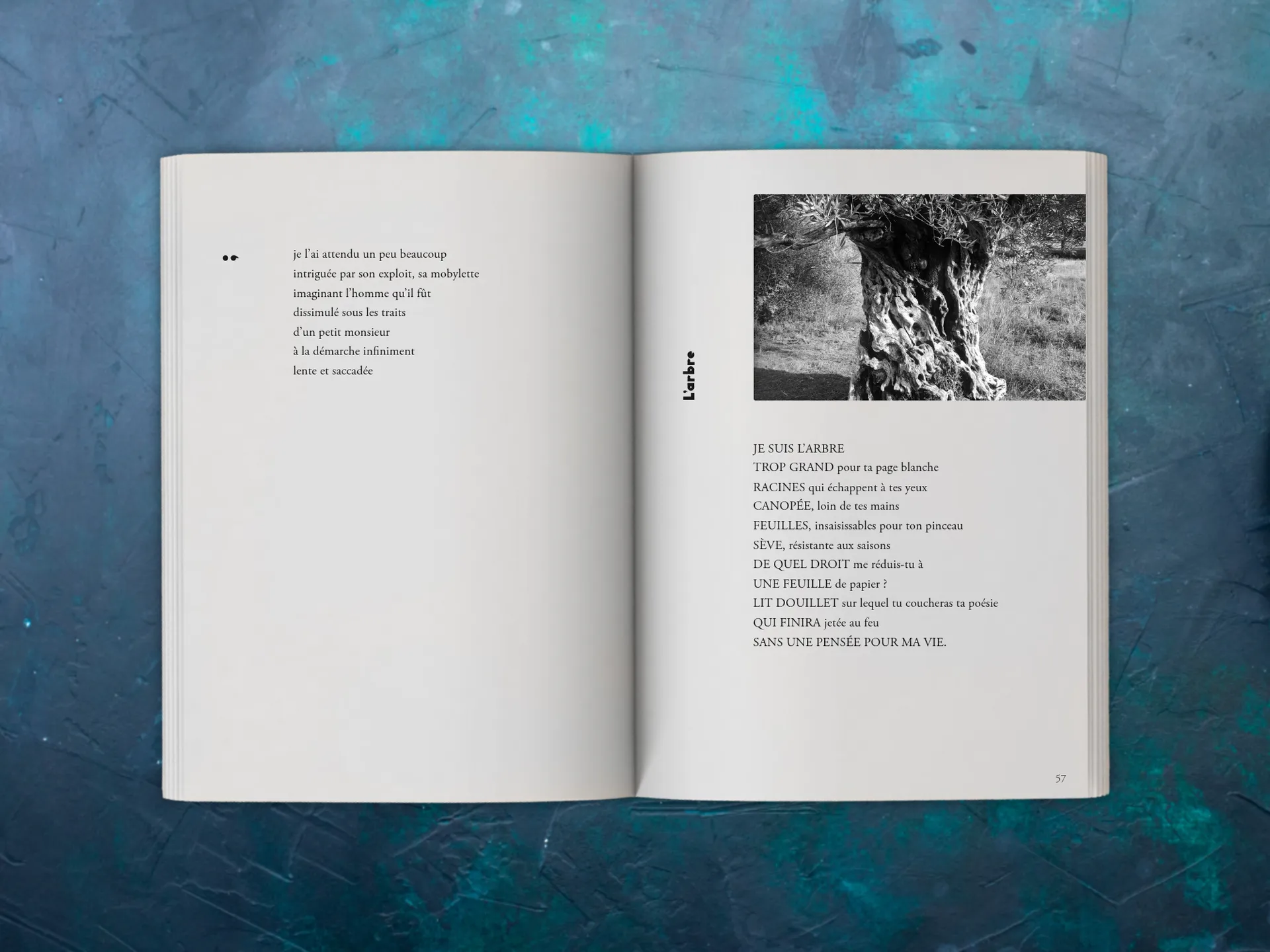 Cover of the book