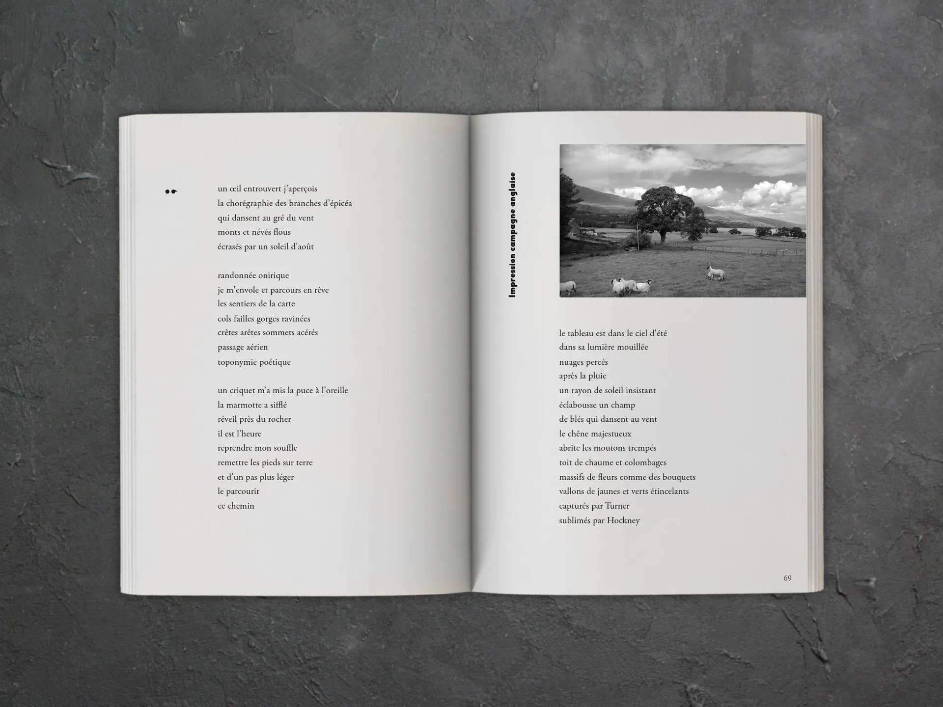 Cover of the book