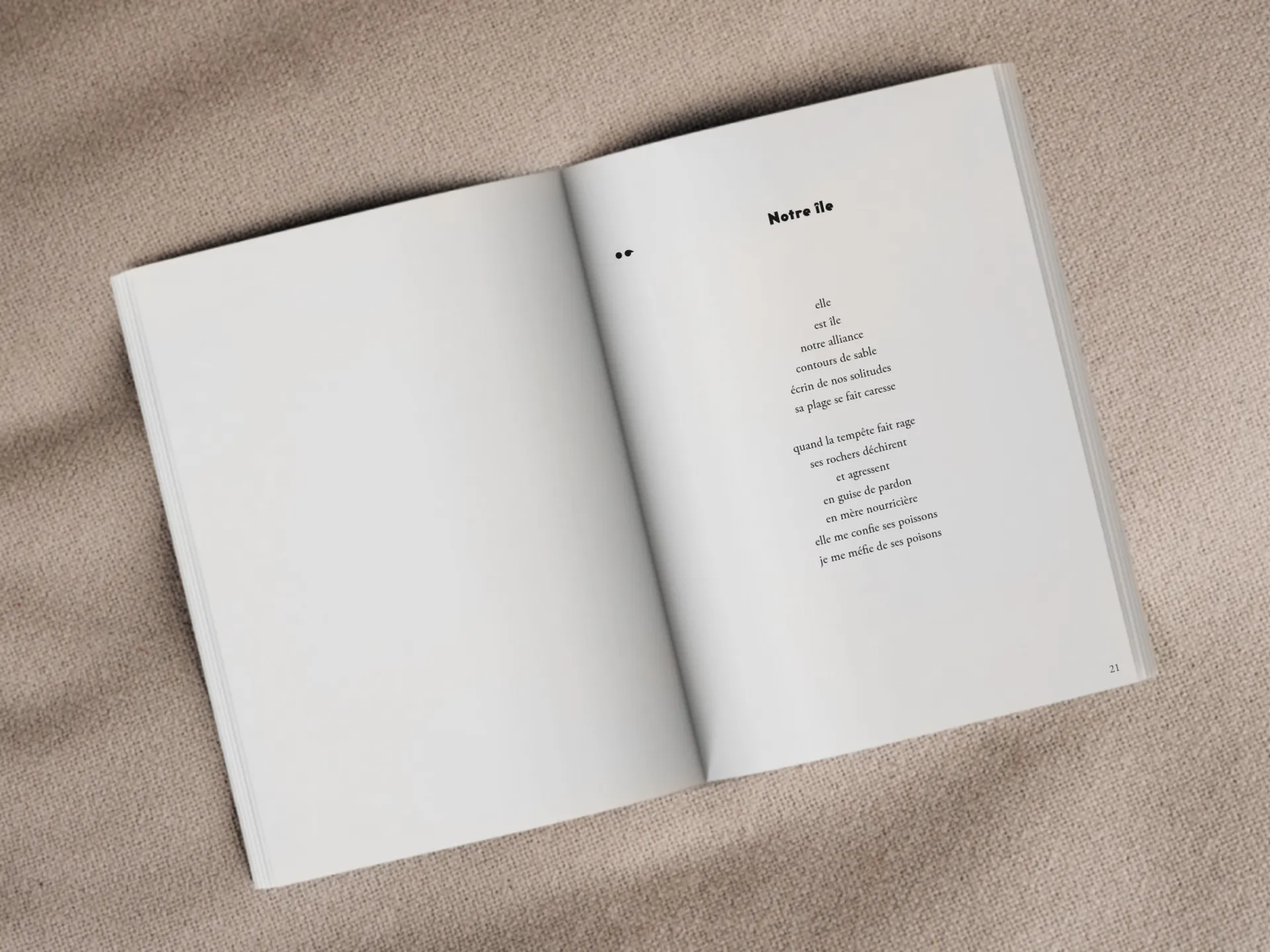 Cover of the book