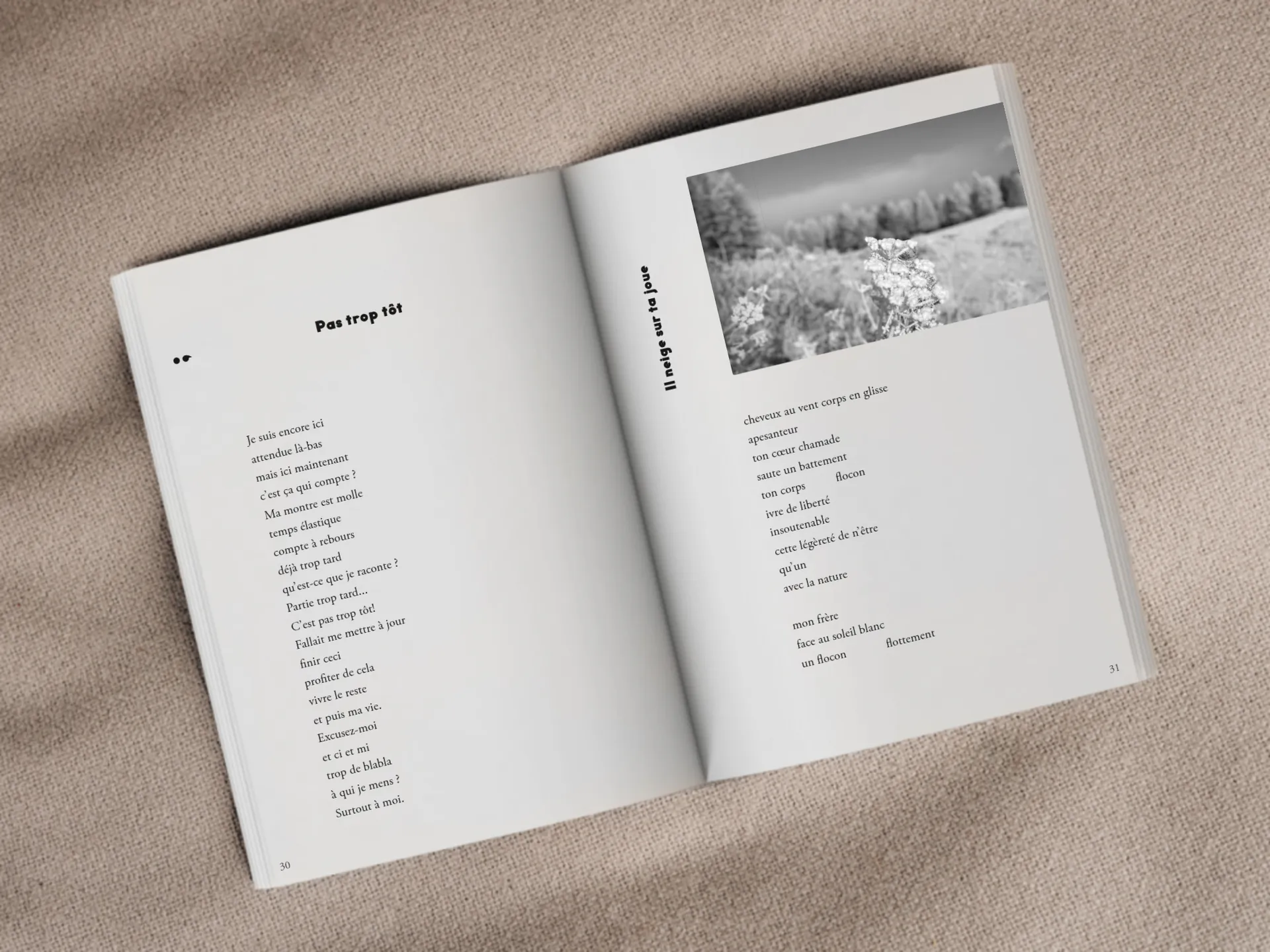Cover of the book