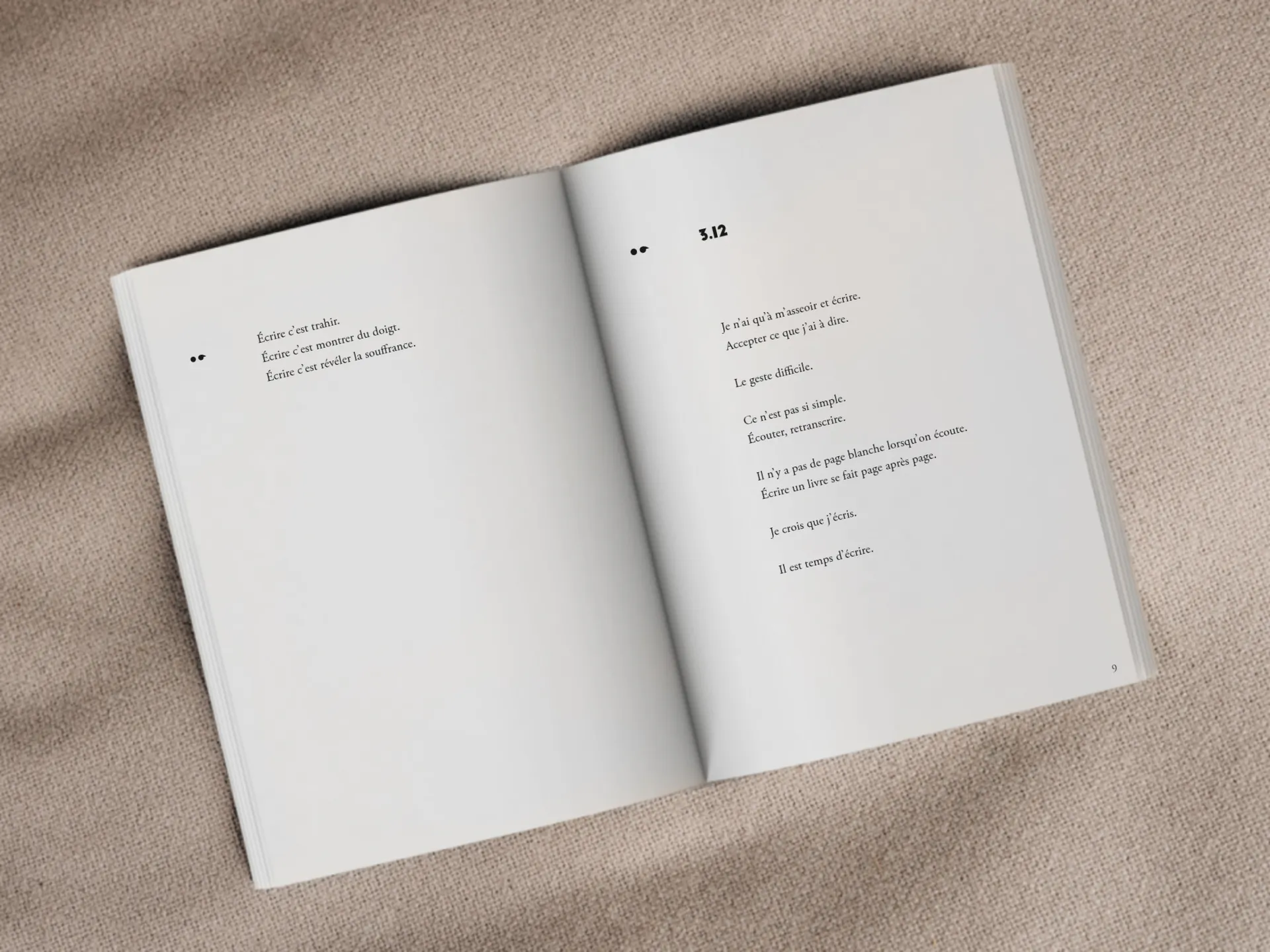 Cover of the book