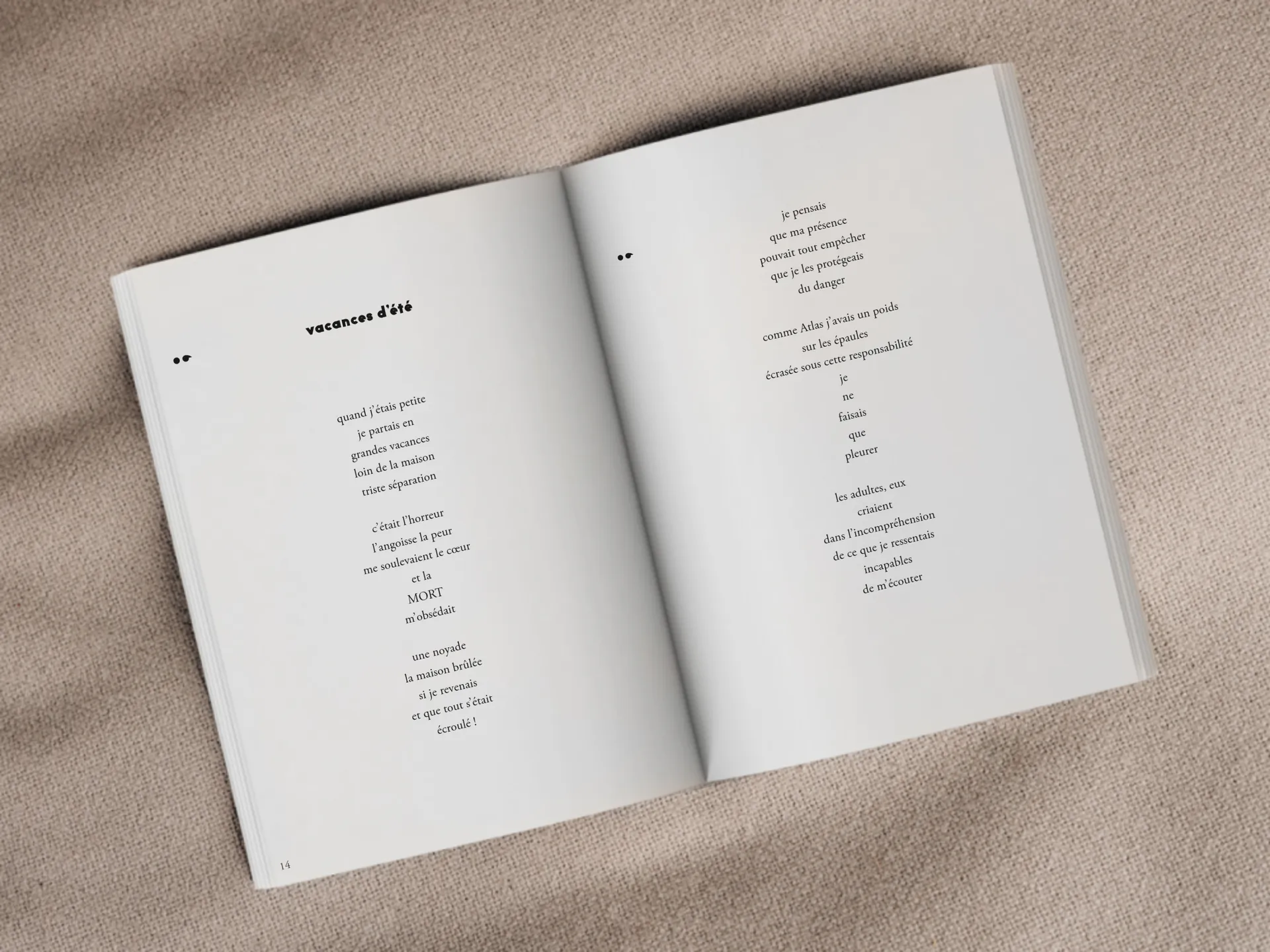 Cover of the book