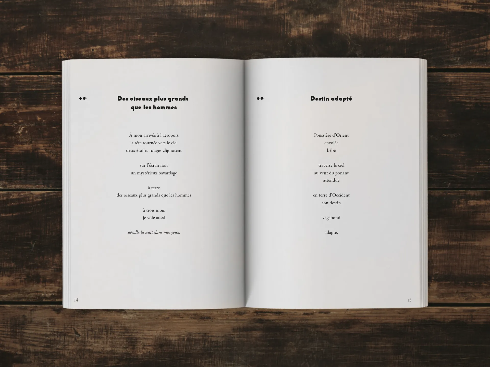 Cover of the book