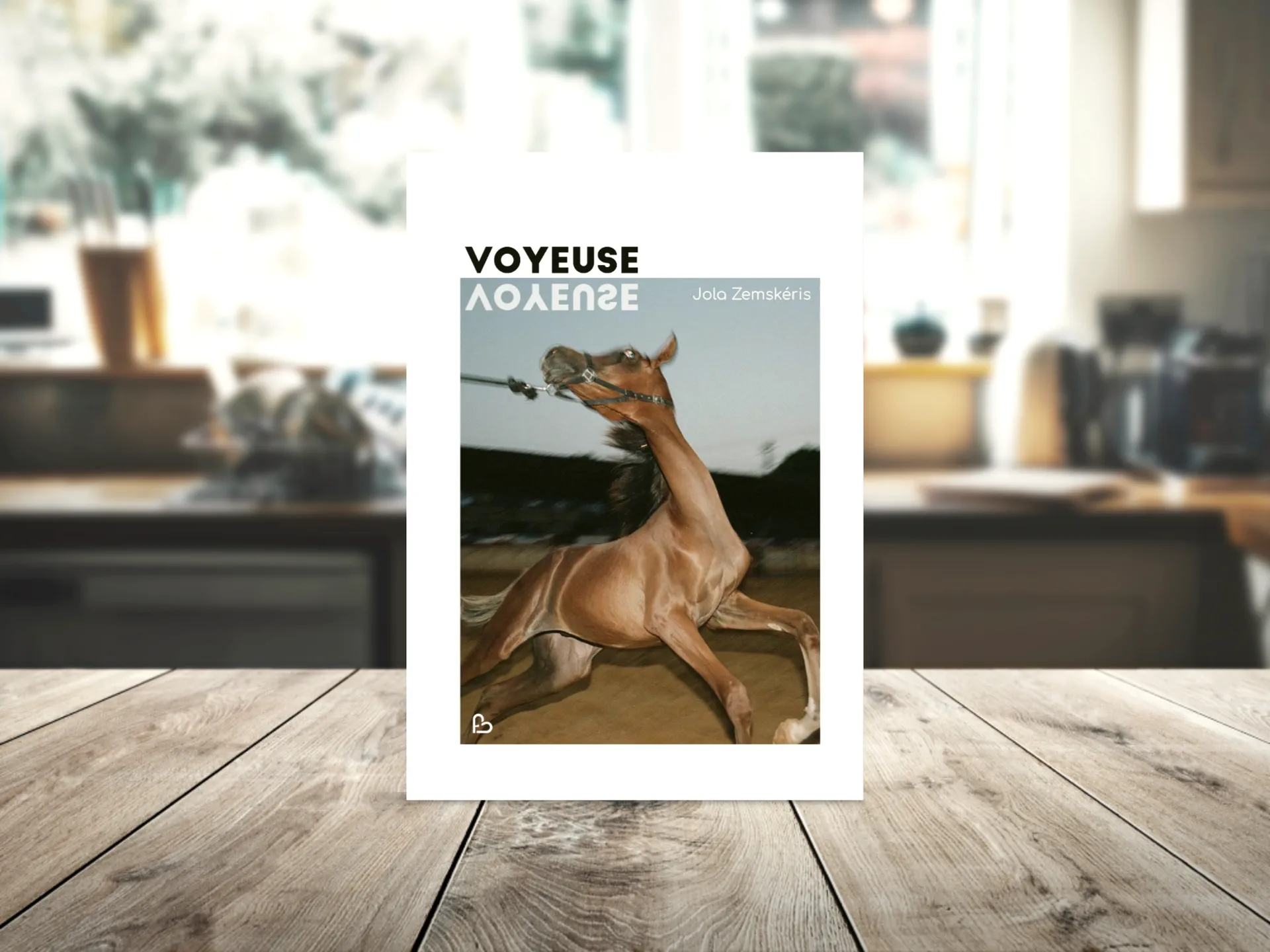 Cover of the book