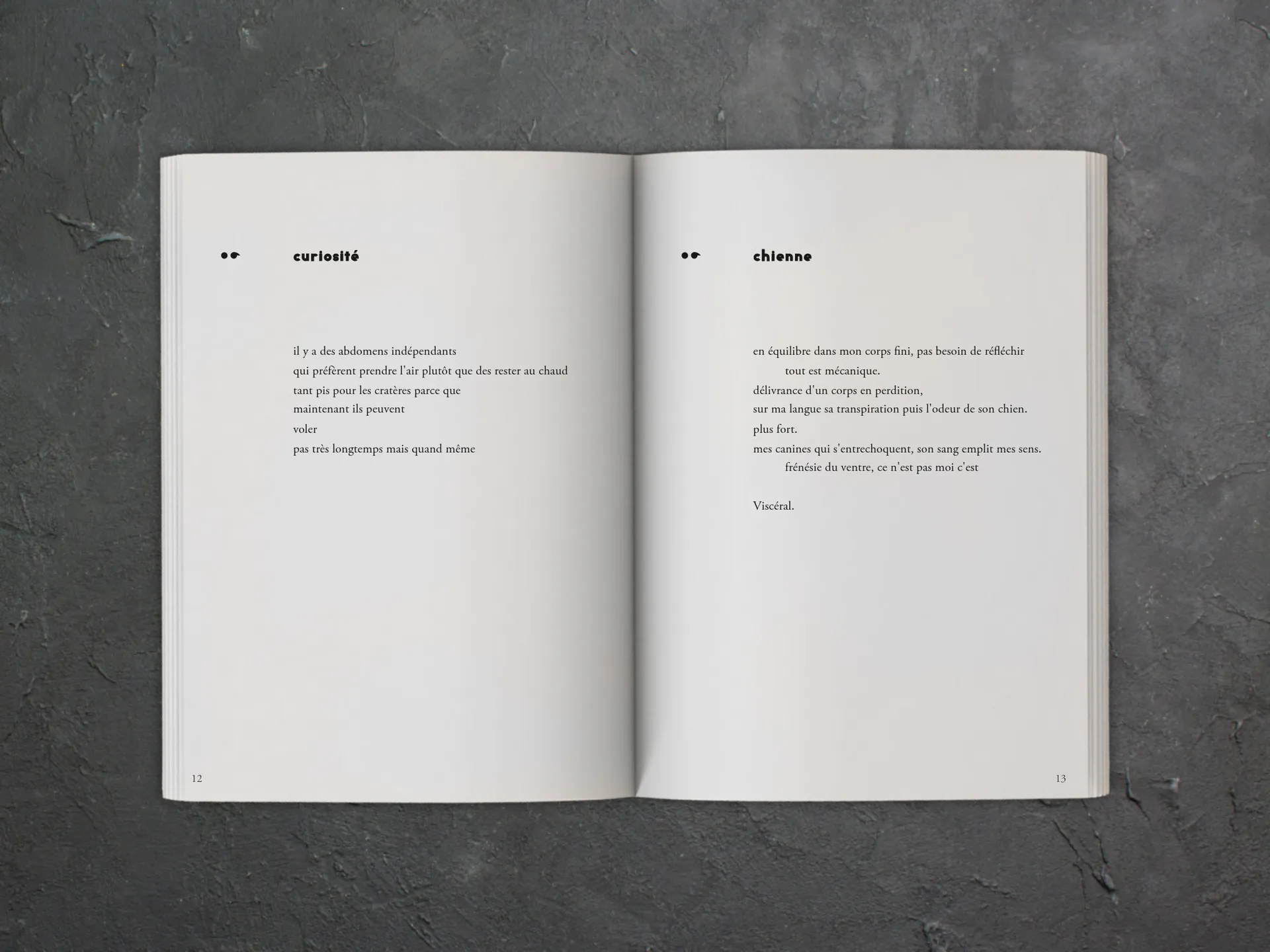 Cover of the book