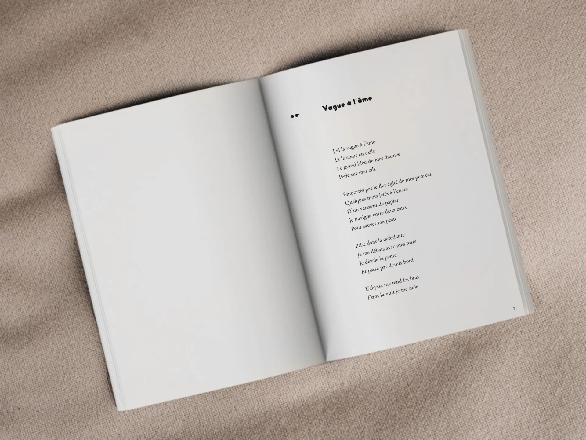 Cover of the book