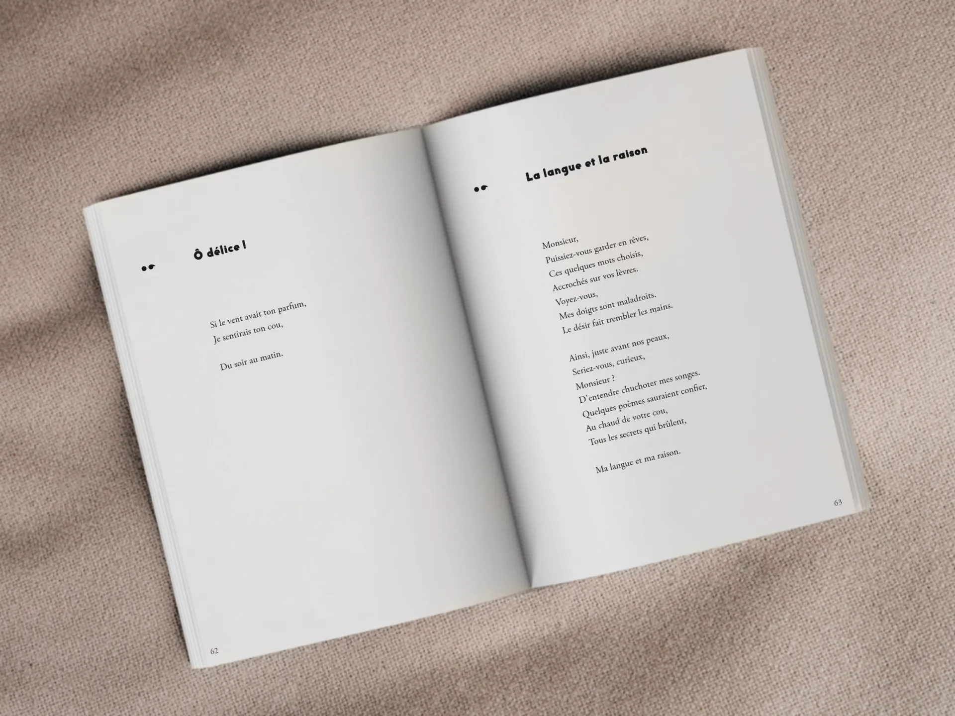 Cover of the book