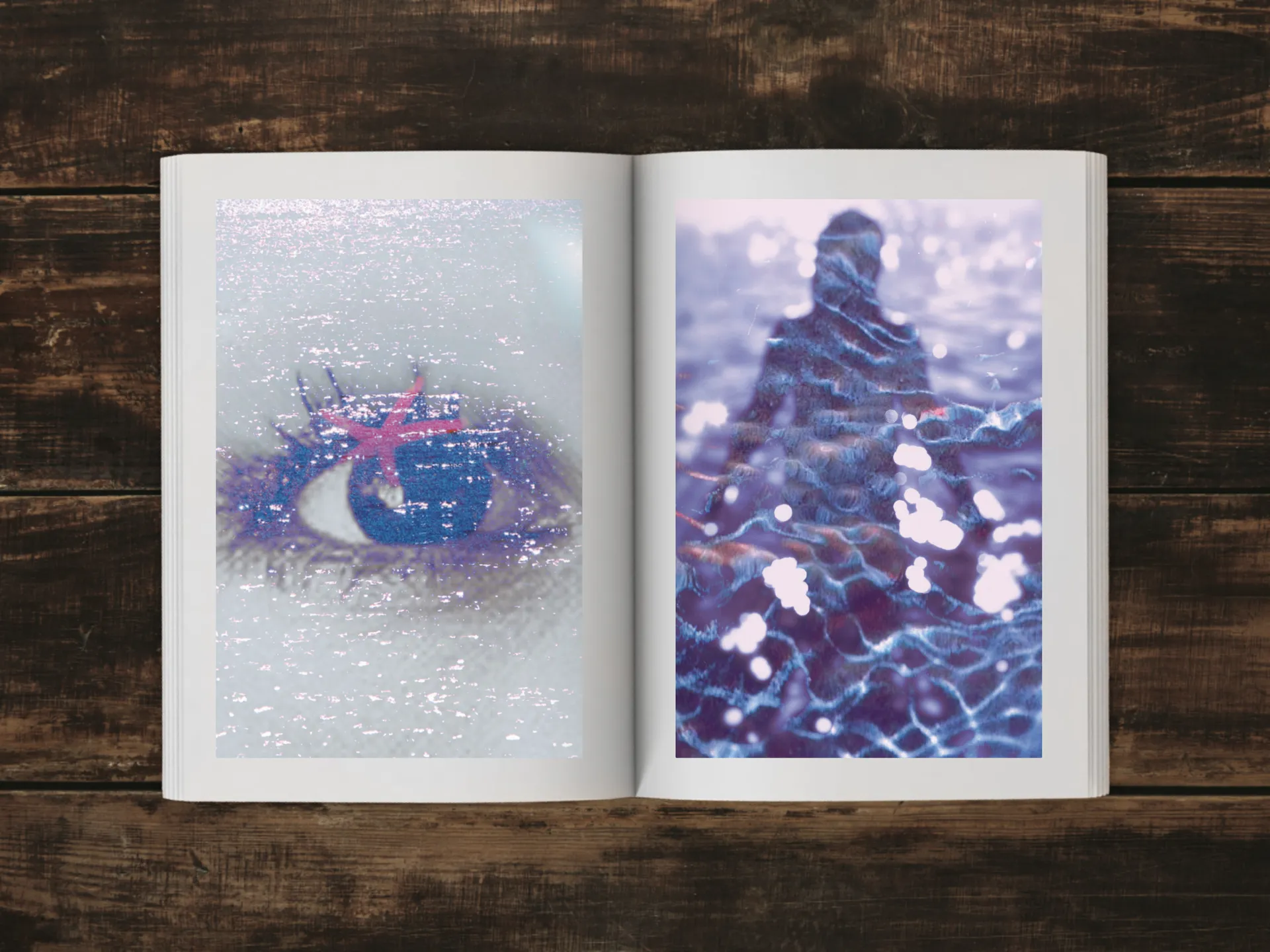 Cover of the book