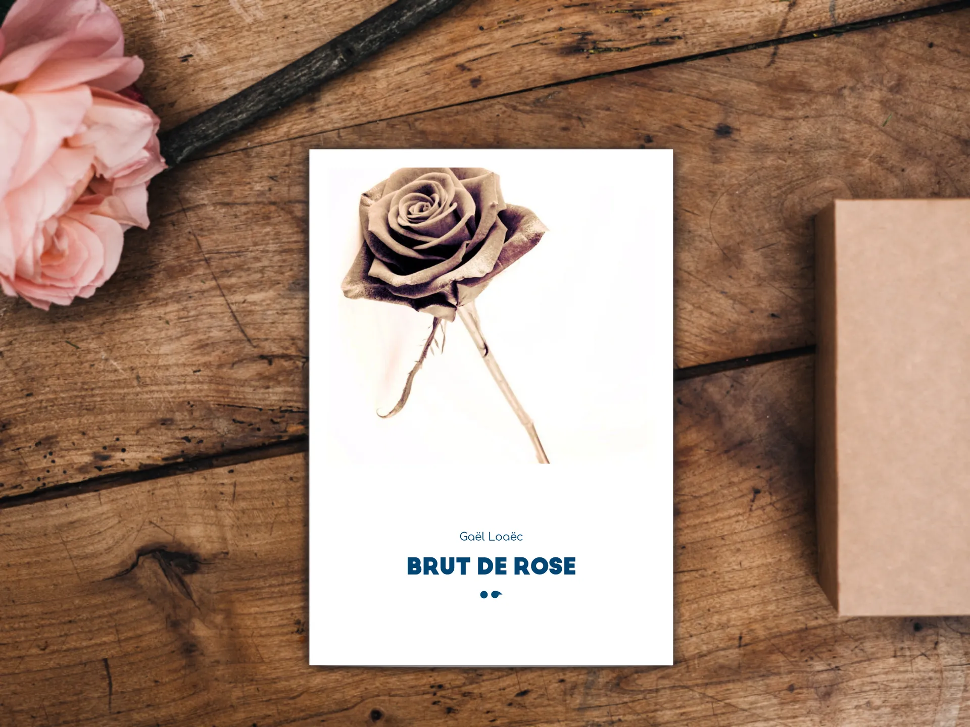 Cover of the book