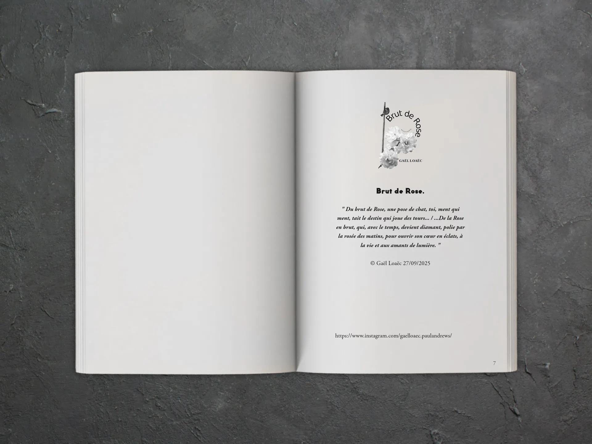Cover of the book