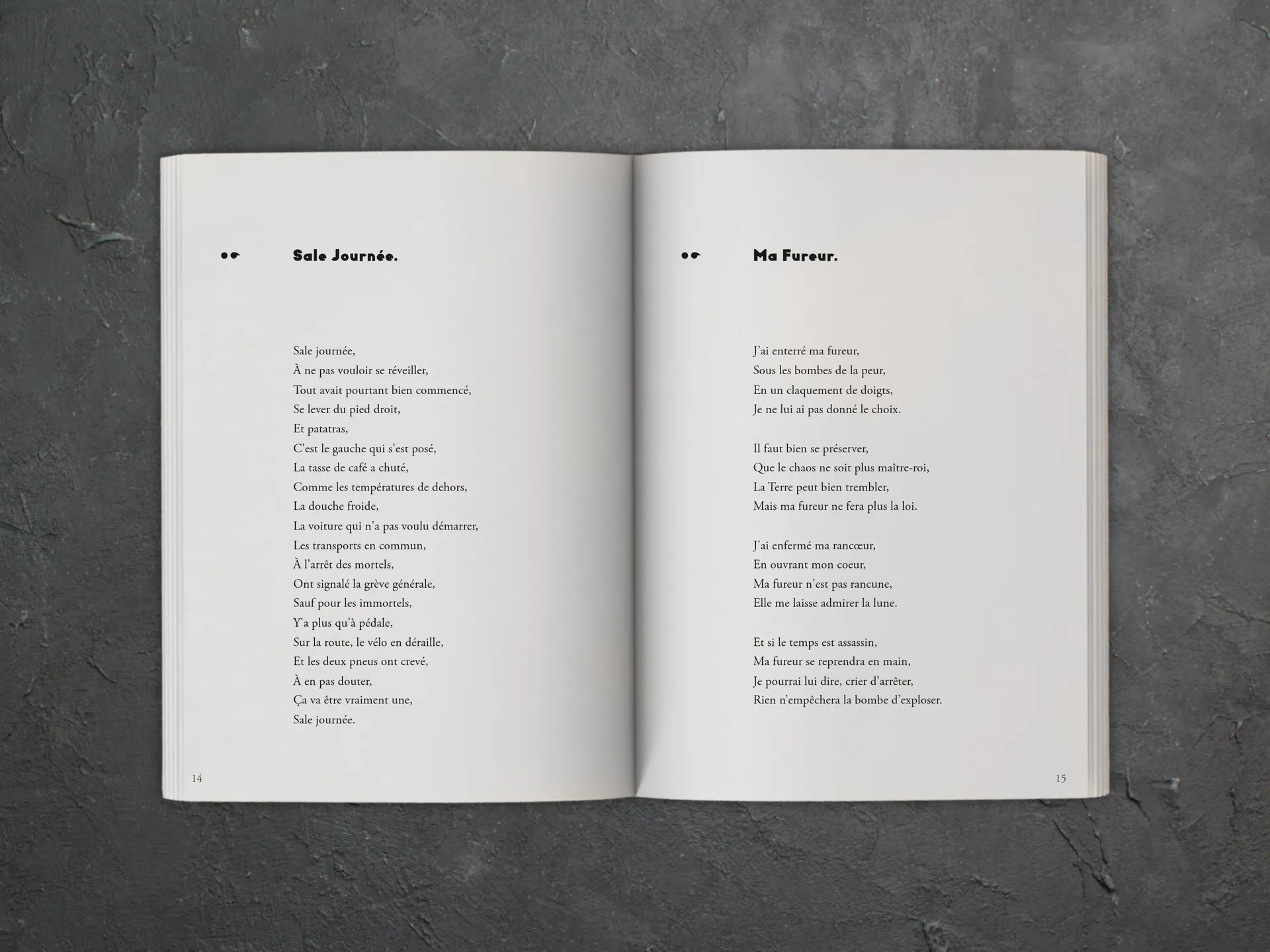 Cover of the book