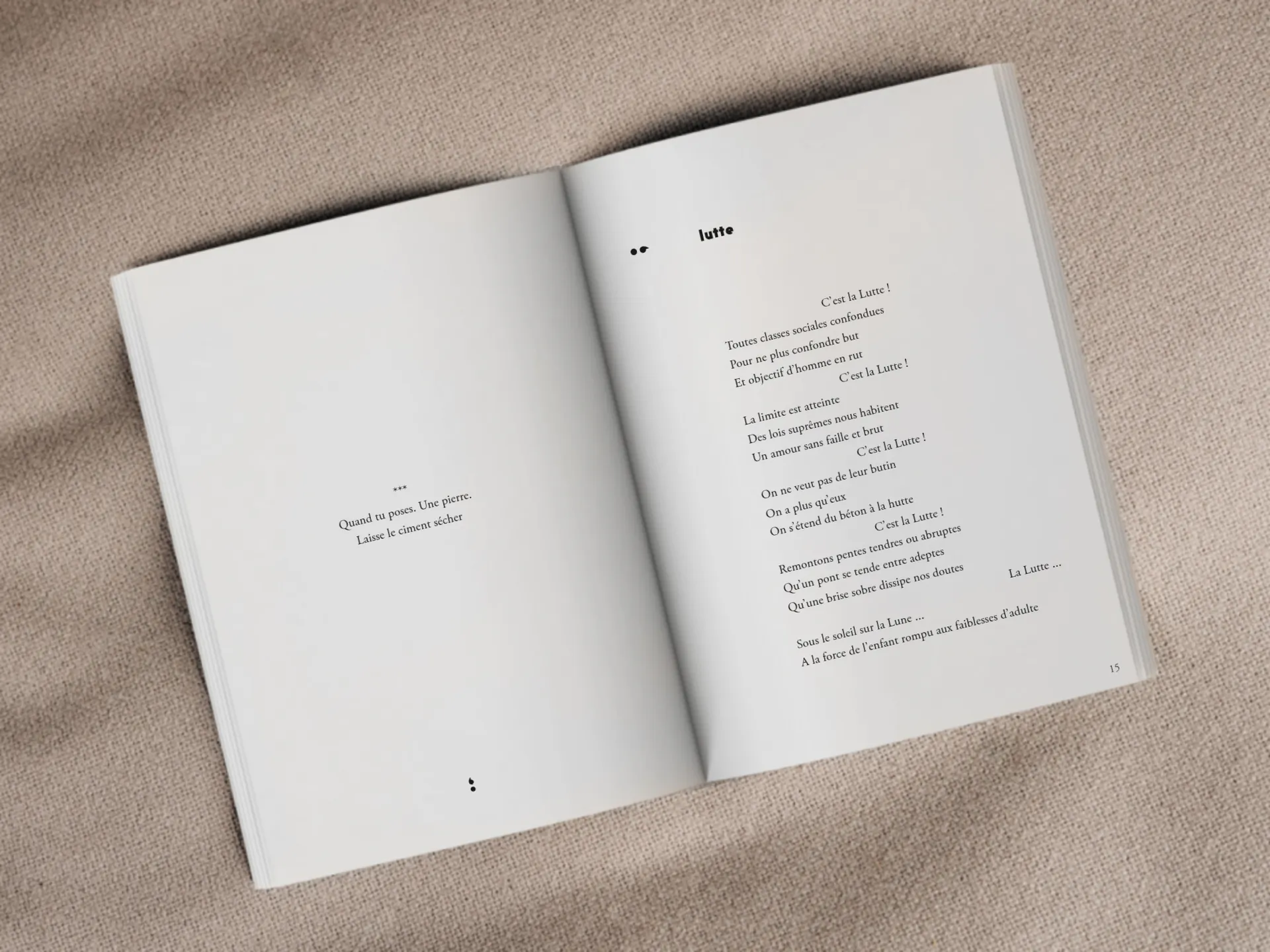 Cover of the book