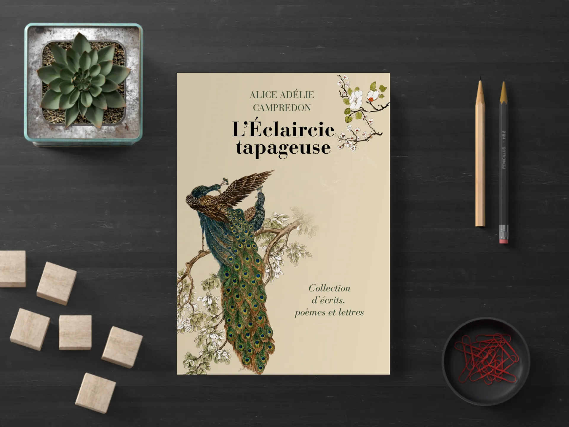 Cover of the book