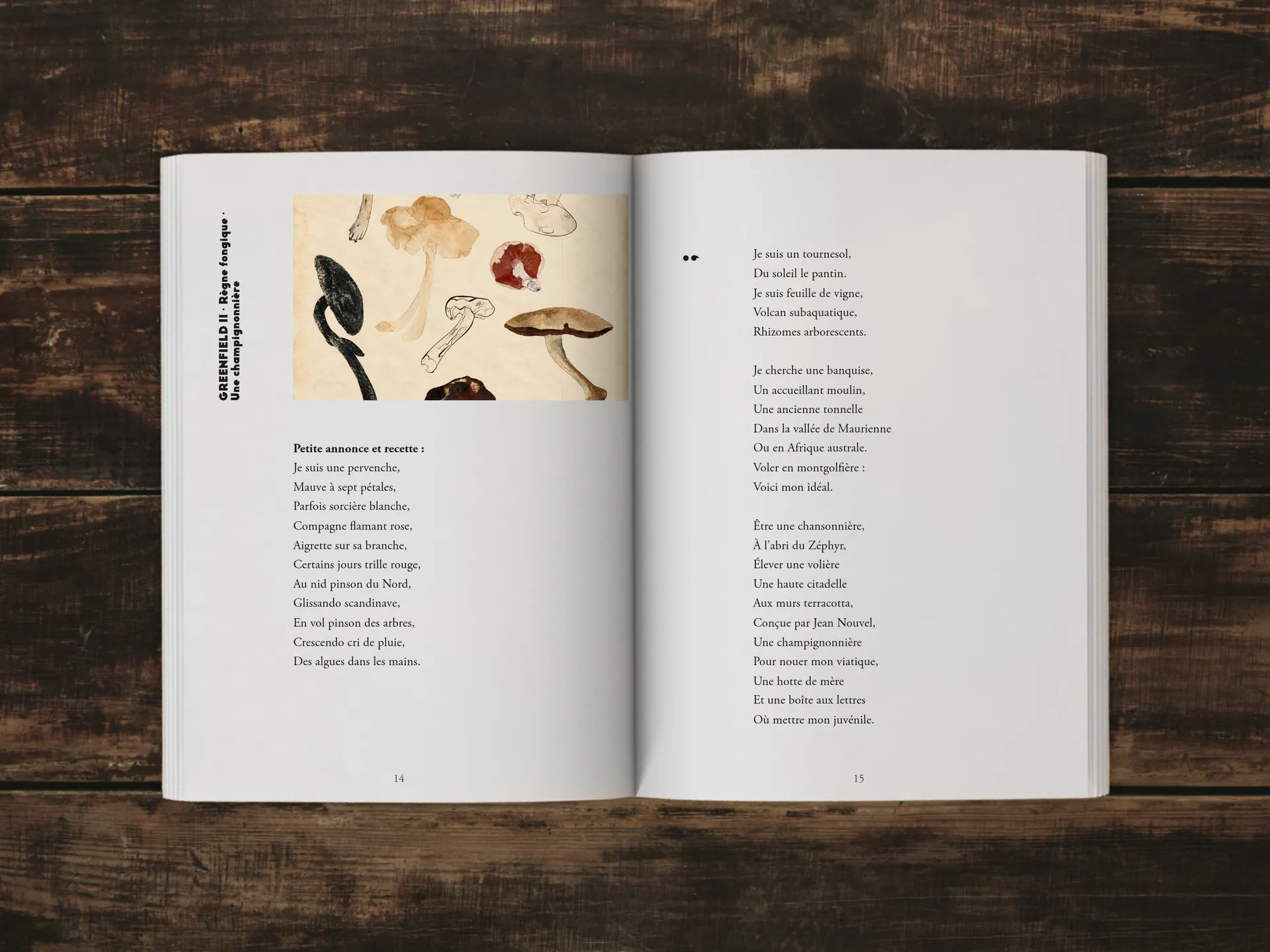 Cover of the book