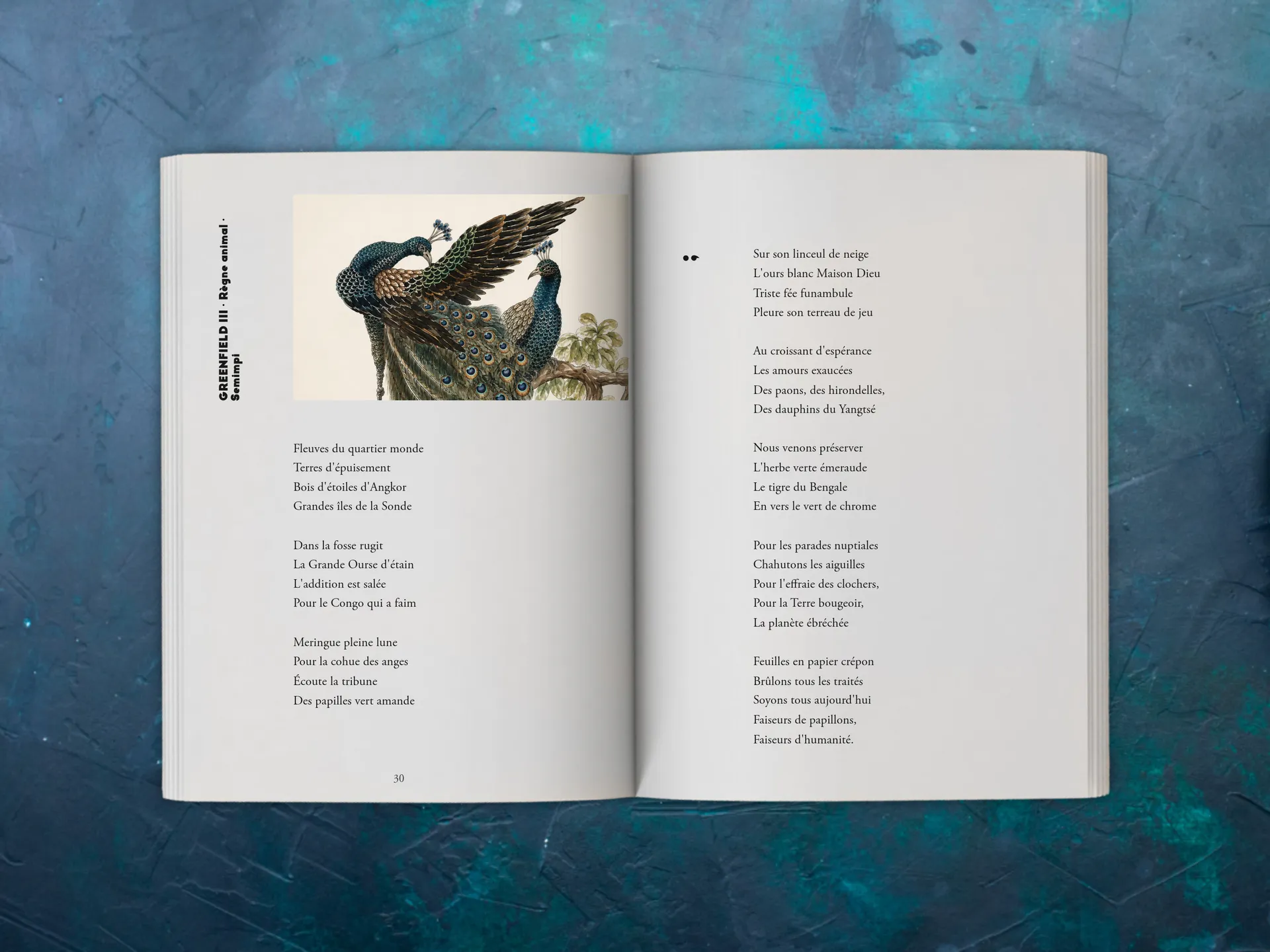 Cover of the book