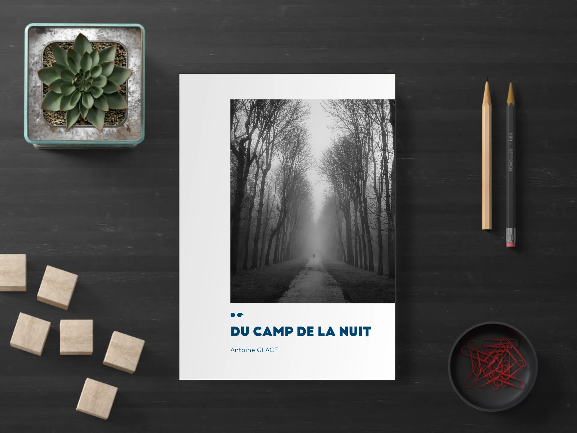 Cover of the book