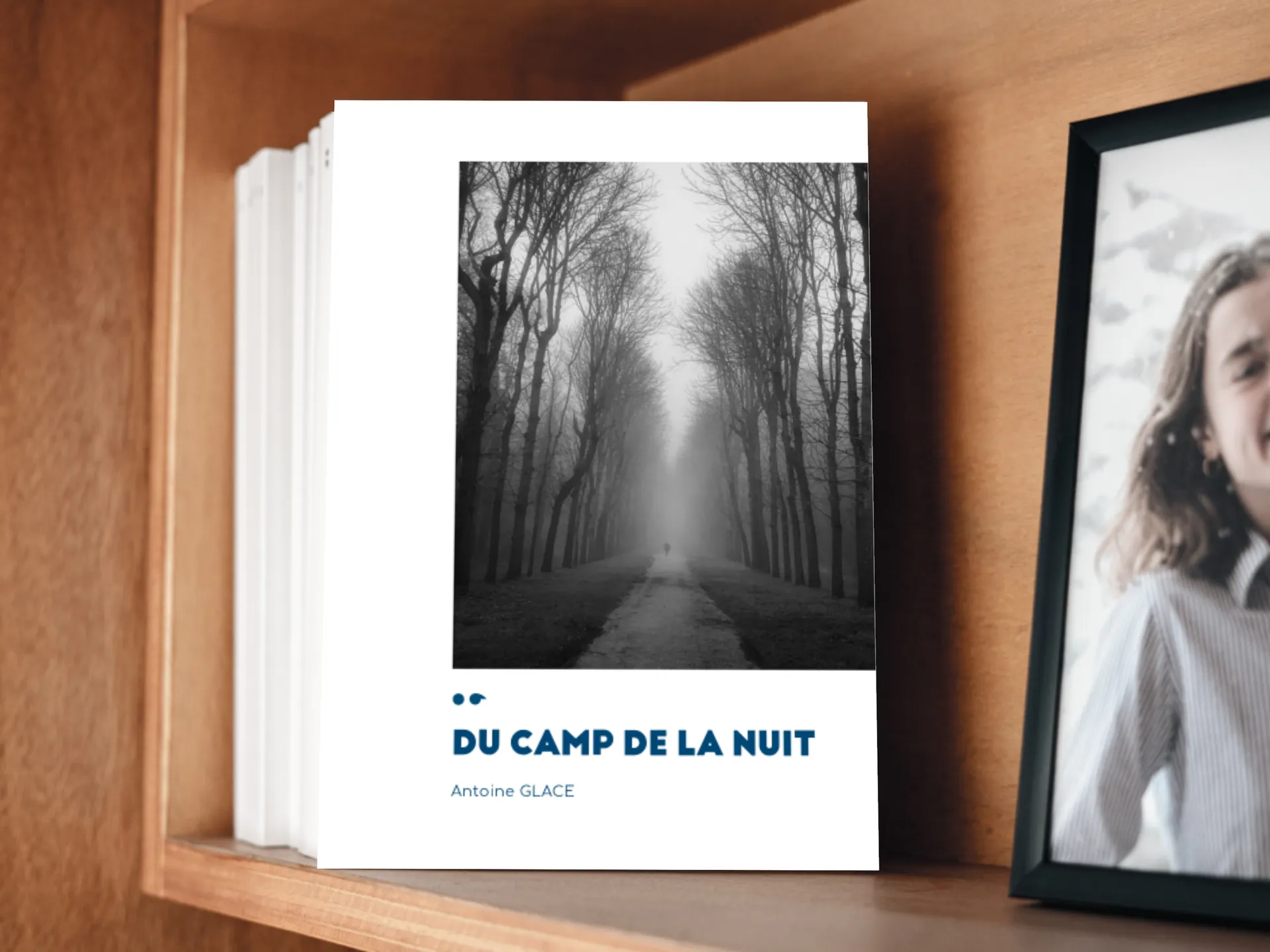 Cover of the book
