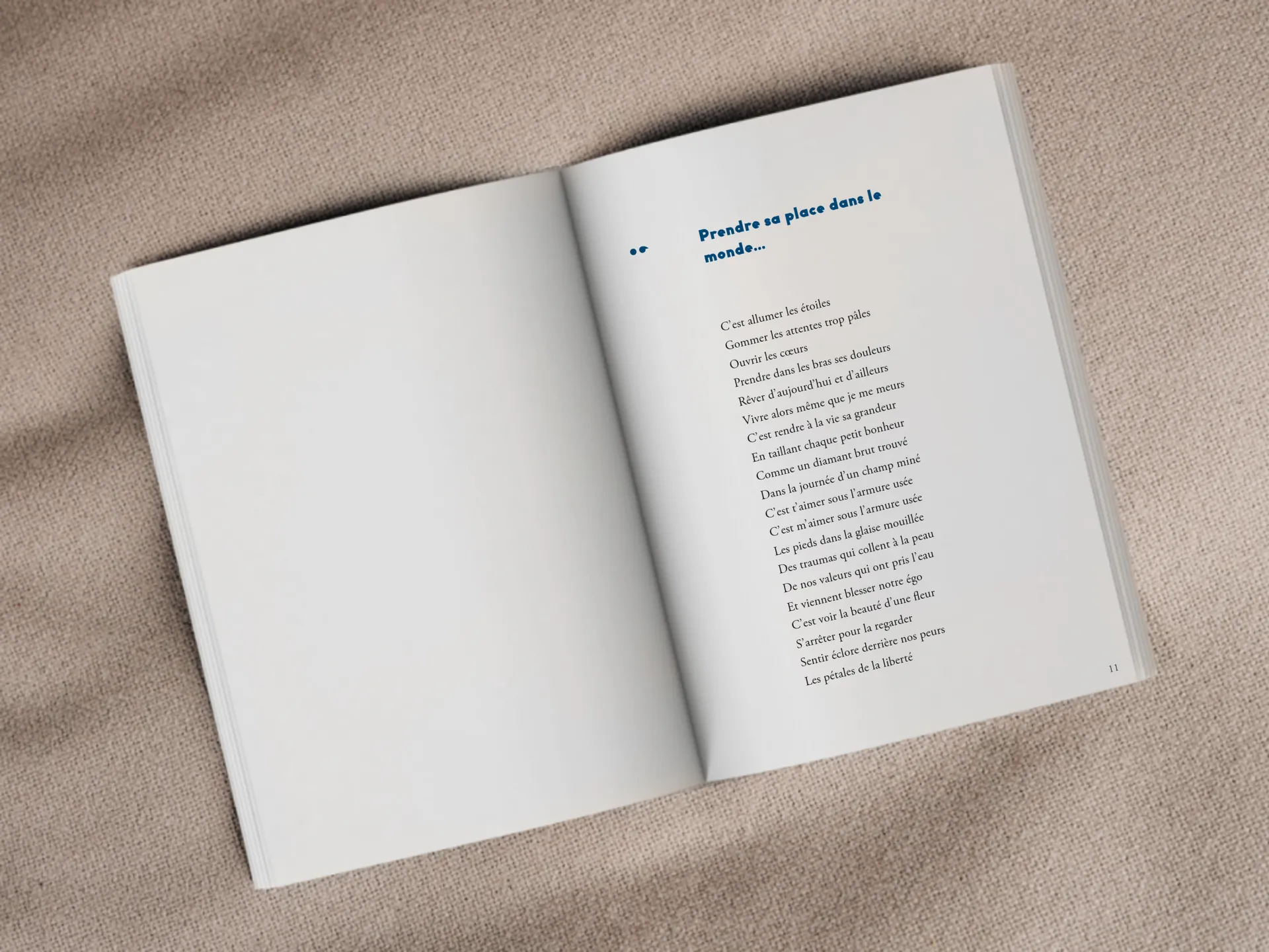 Cover of the book