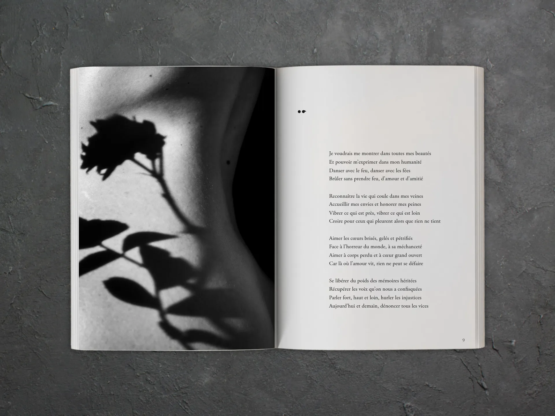 Cover of the book